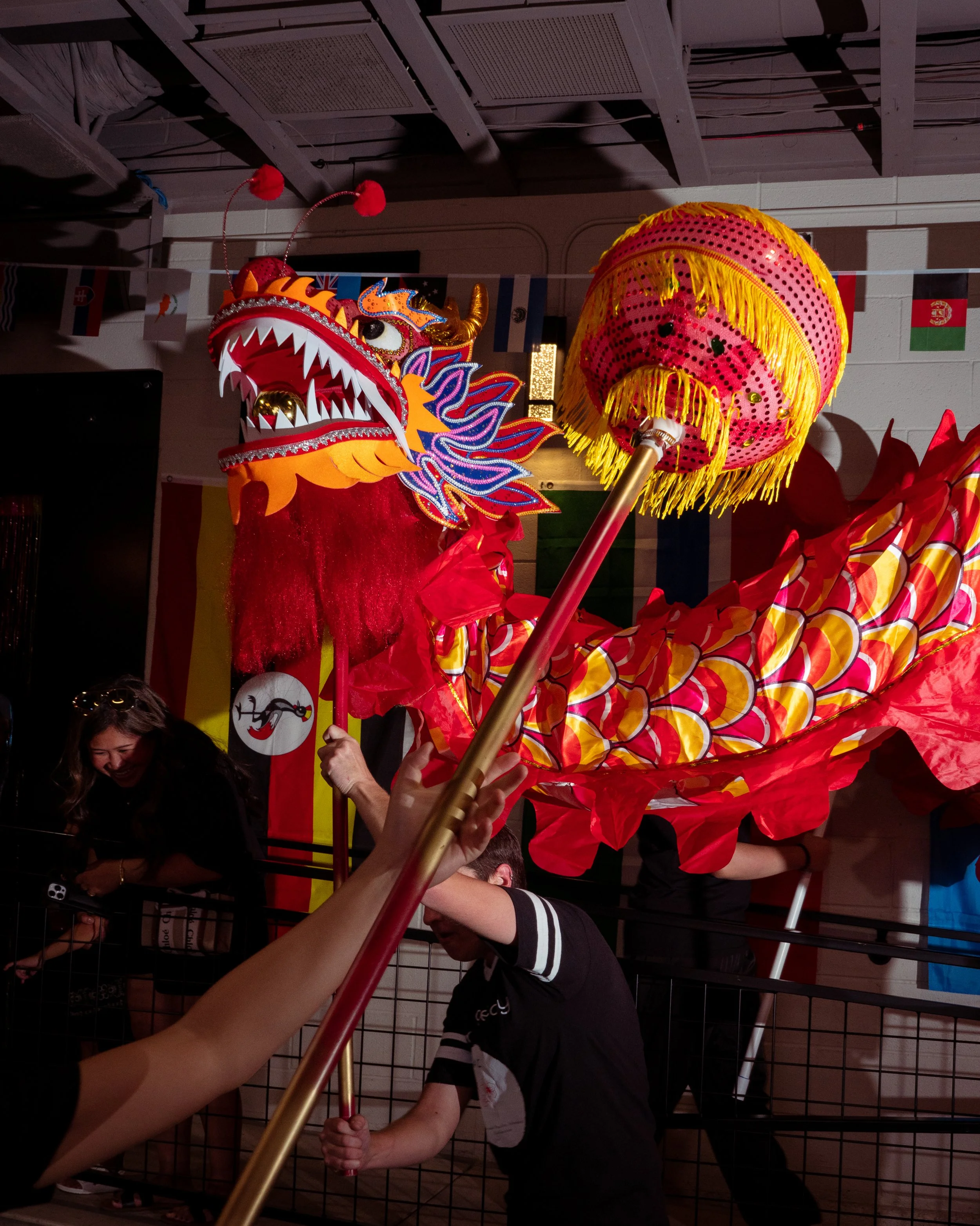 DSC08296.jpg