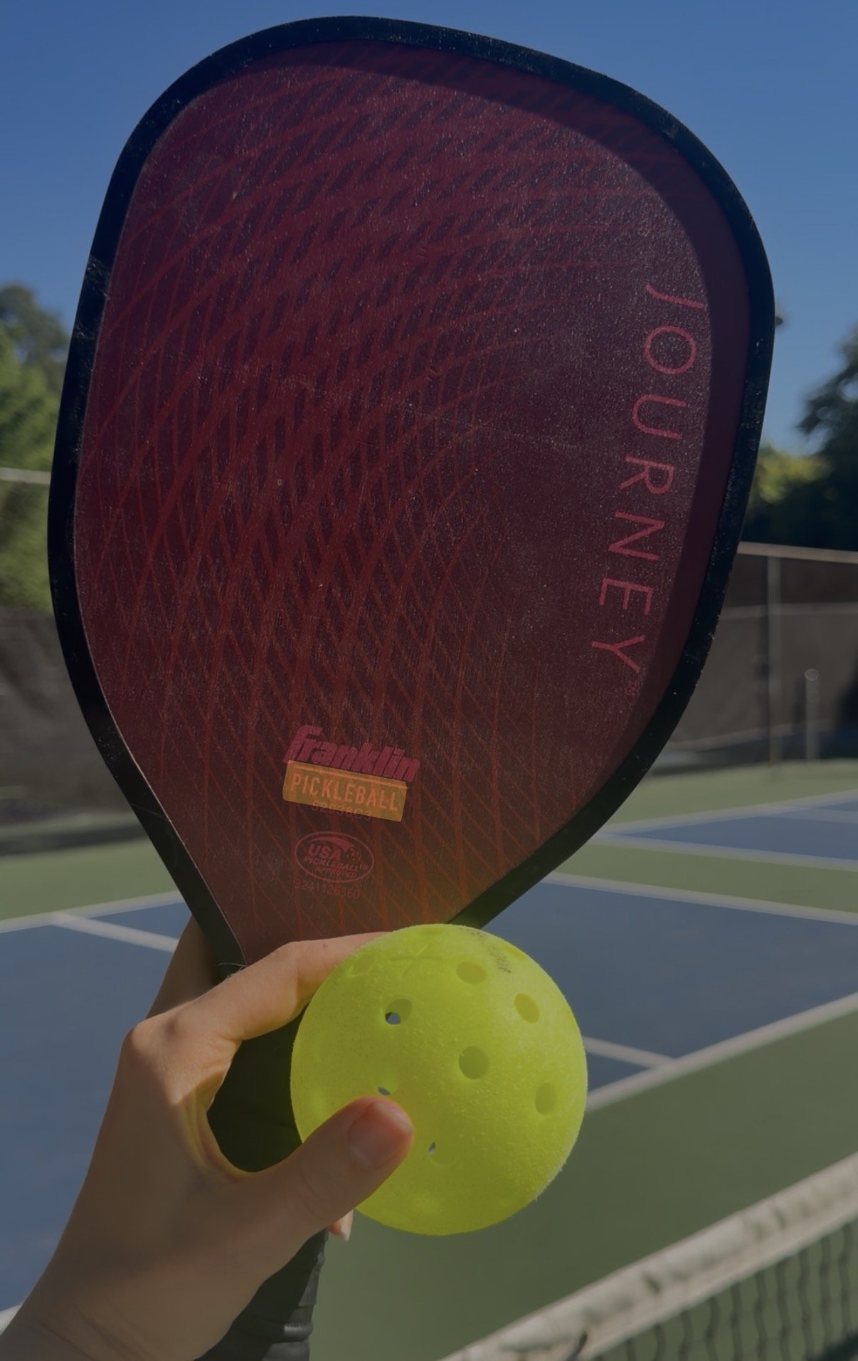 Where to Play Pickleball in Tega Cay, SC