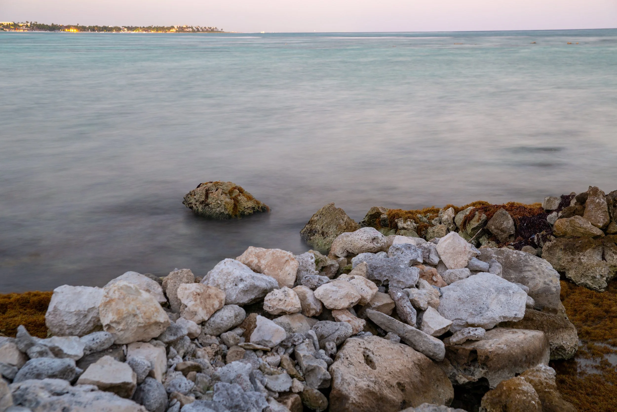 Photo Feb 04 2026, 7 00 11 PM.jpg