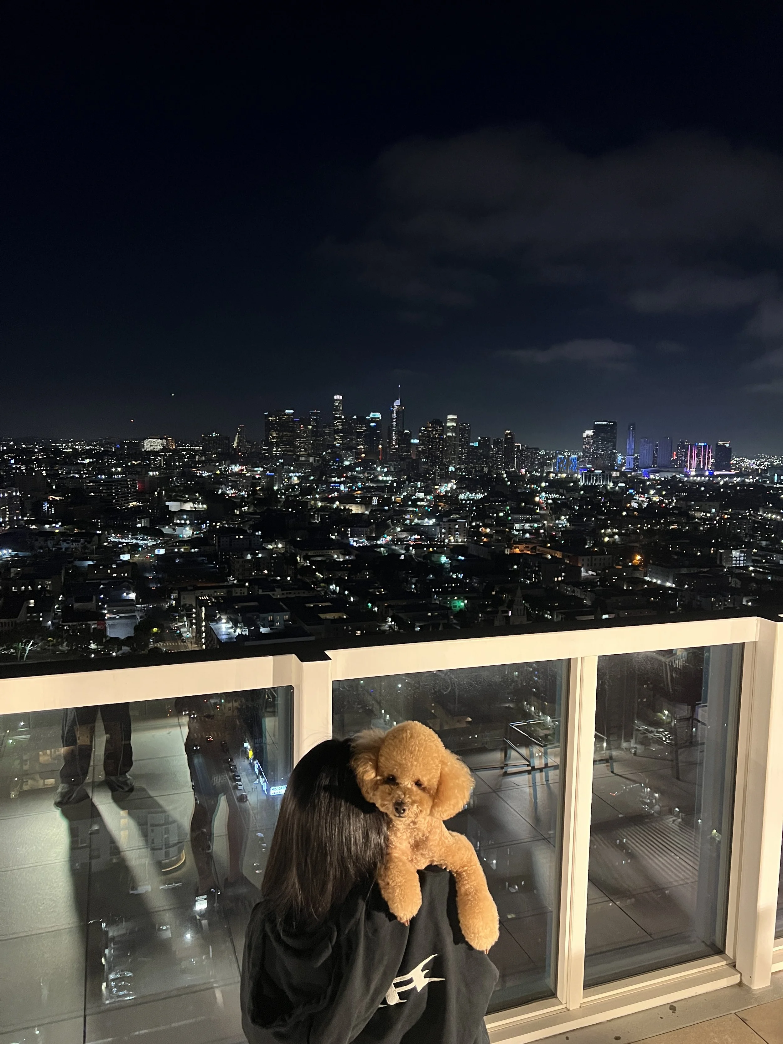 Pretty views with a pretty pup ✨