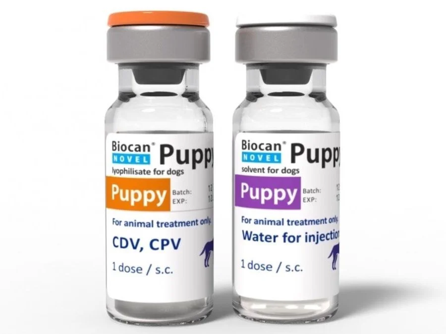 Montvec Servicios Veterinarios