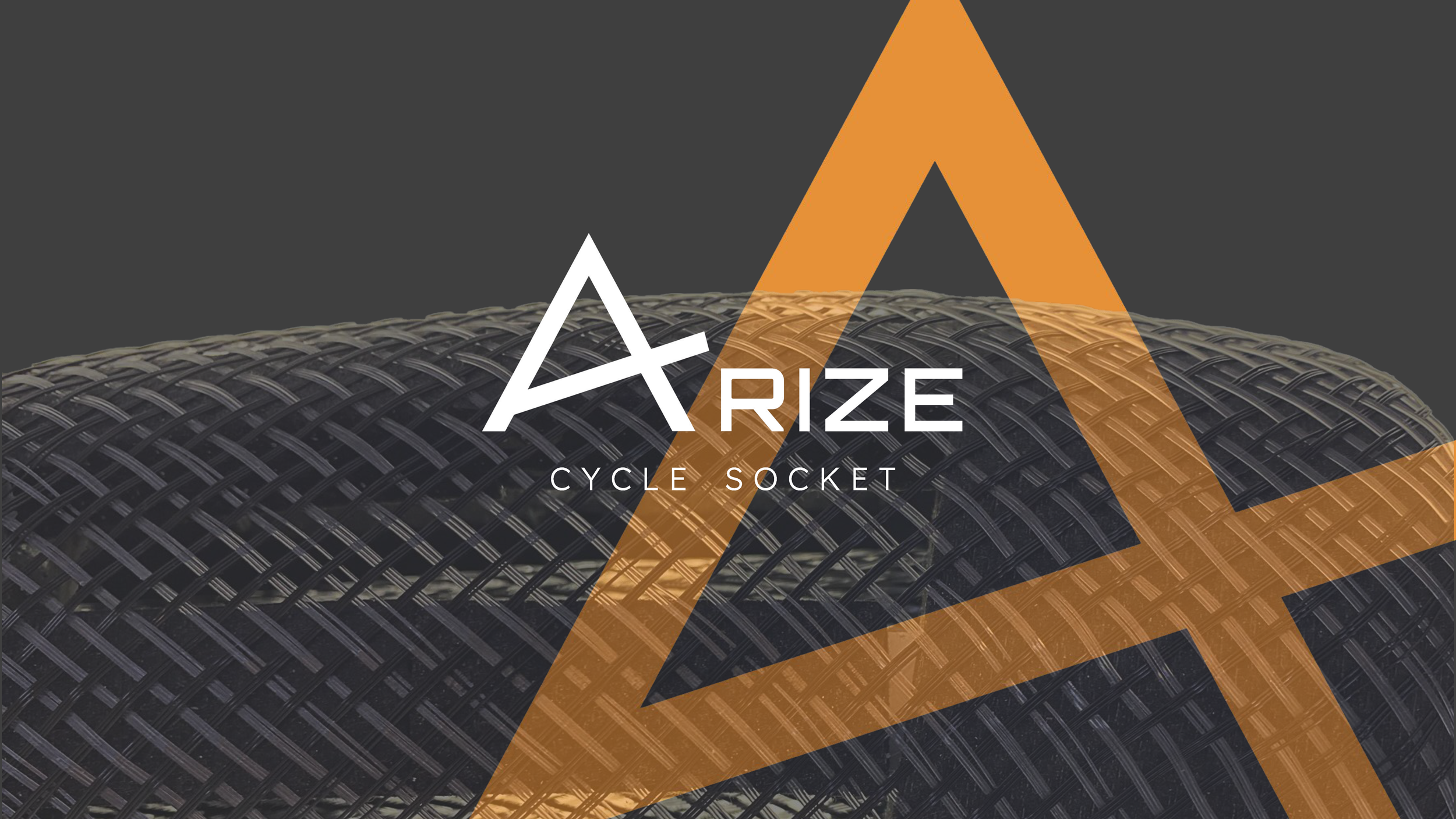 Copy of Arize.pptx (1)_Page_01.png