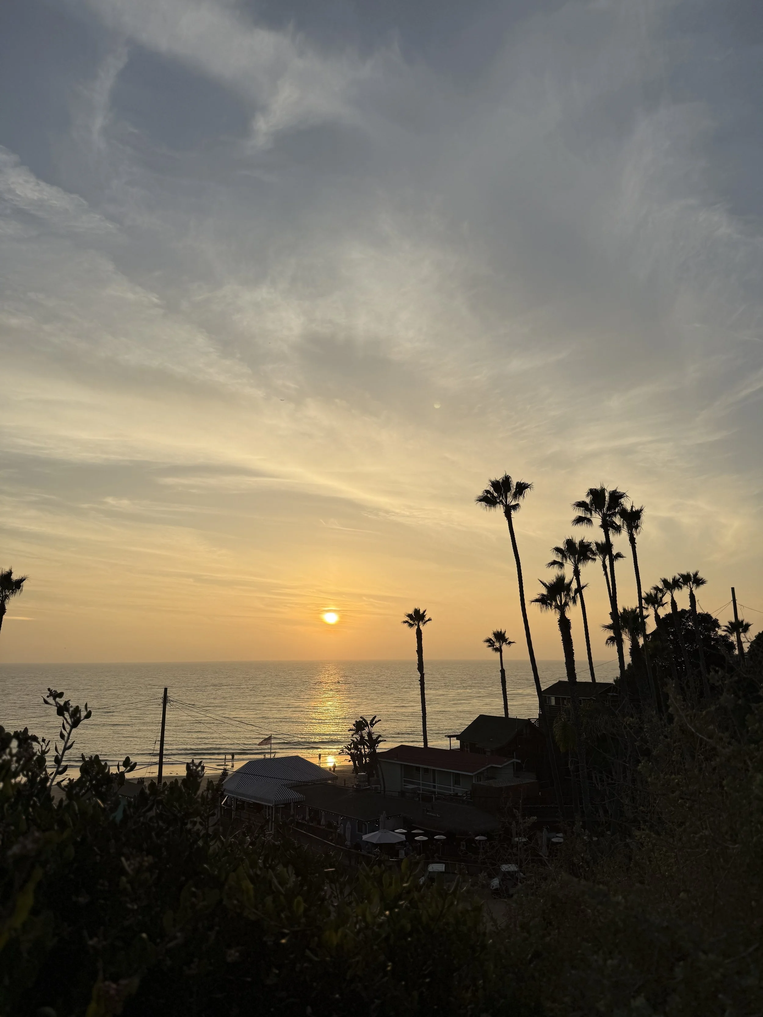 Sunset over the ocean with palm trees in the foreground and a few buildings near the shore.
