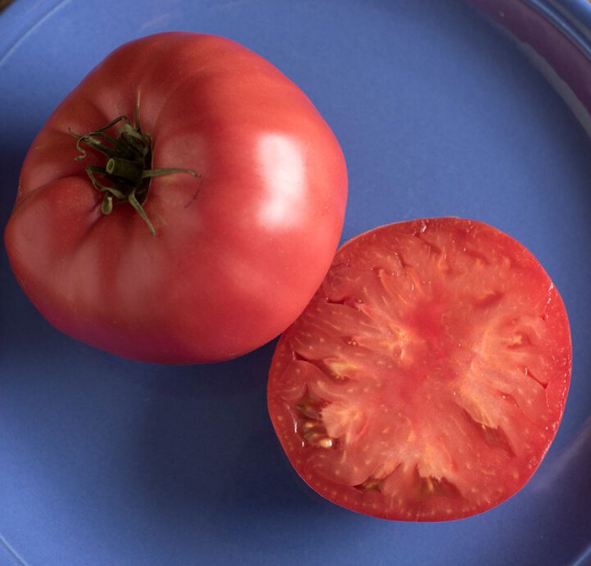 Brandywine Tomato