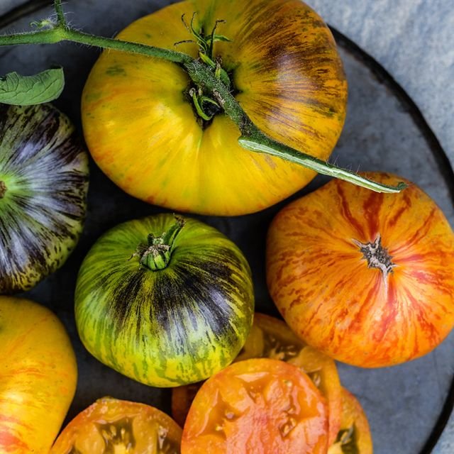 Alice's Dream Heirloom Tomato