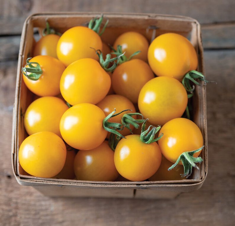 Yellow Mimi Cherry Tomato