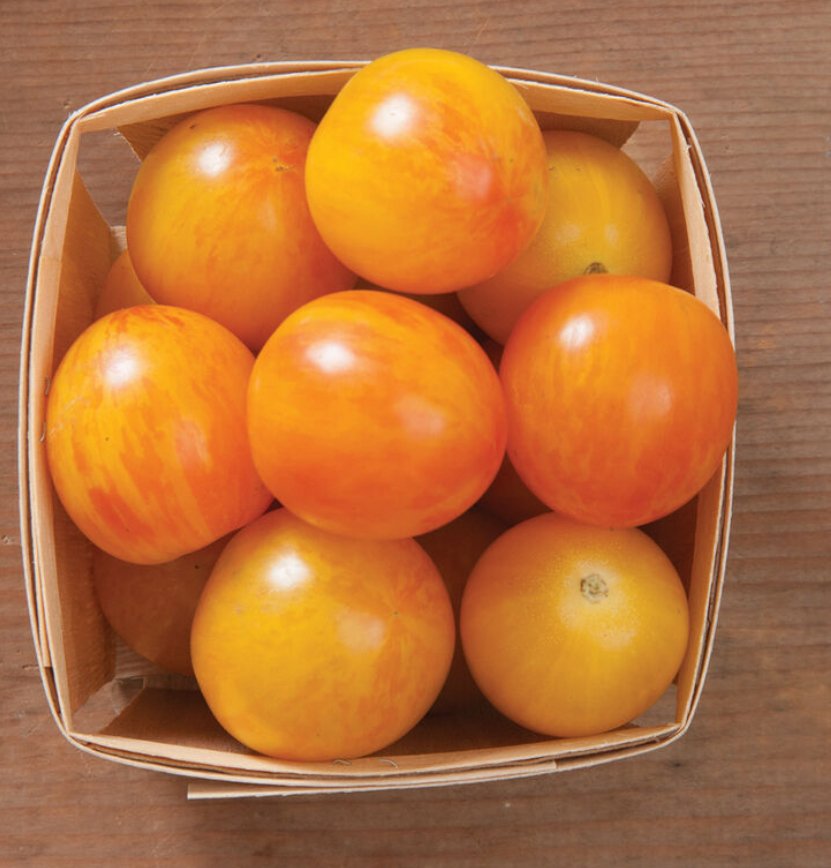 Bumblebee Cherry Tomato