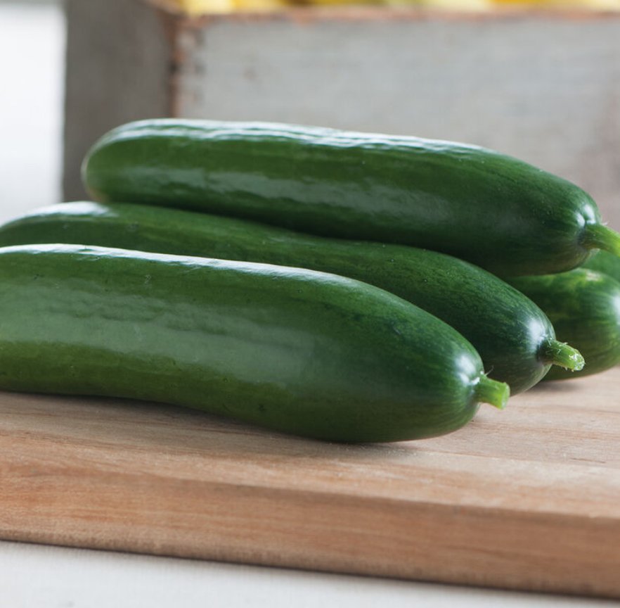 Diva Cucumber