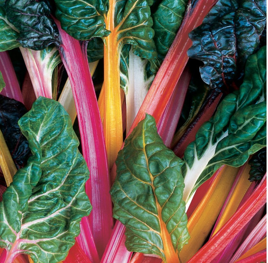 Swiss Chard