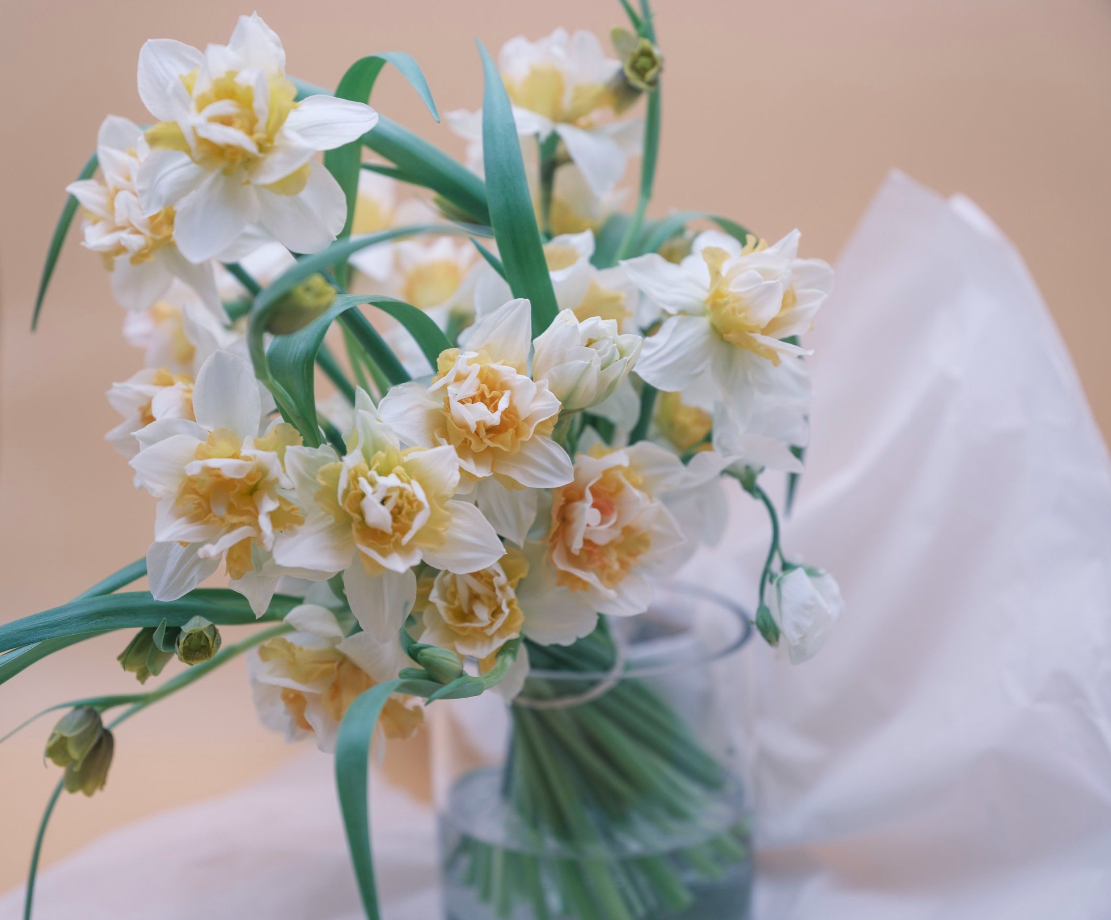 March+Boquets+Grove+Hostess+-14.jpg