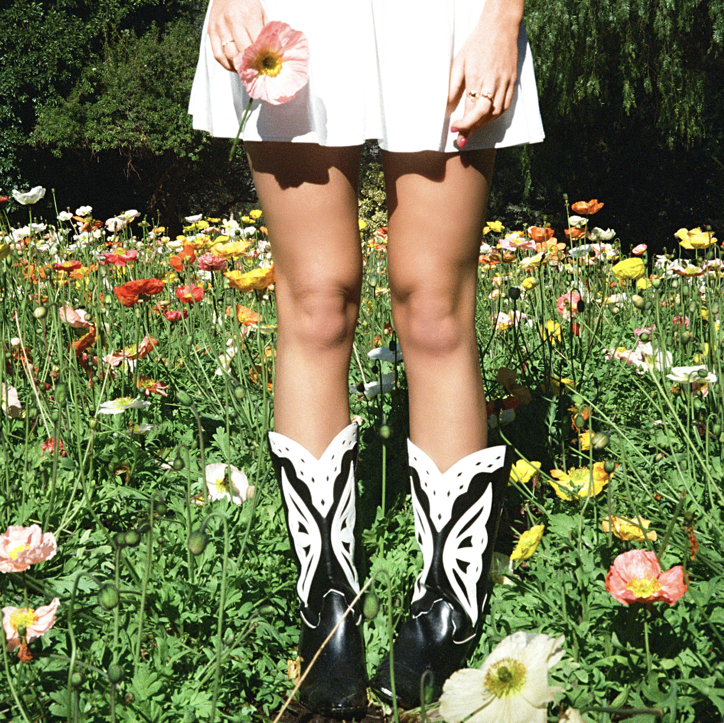 ANNABELLE GRACE: 'Fingers Crossed' is the Bittersweet Summer Anthem of Betrayal and Reclamation