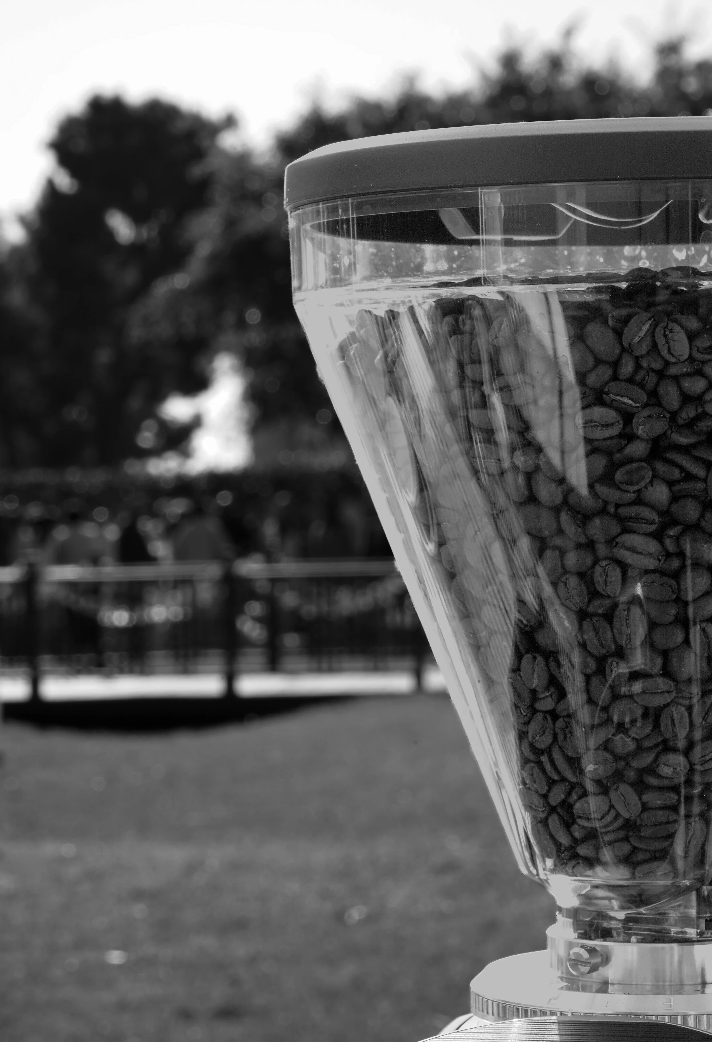 beans(B&W).JPG