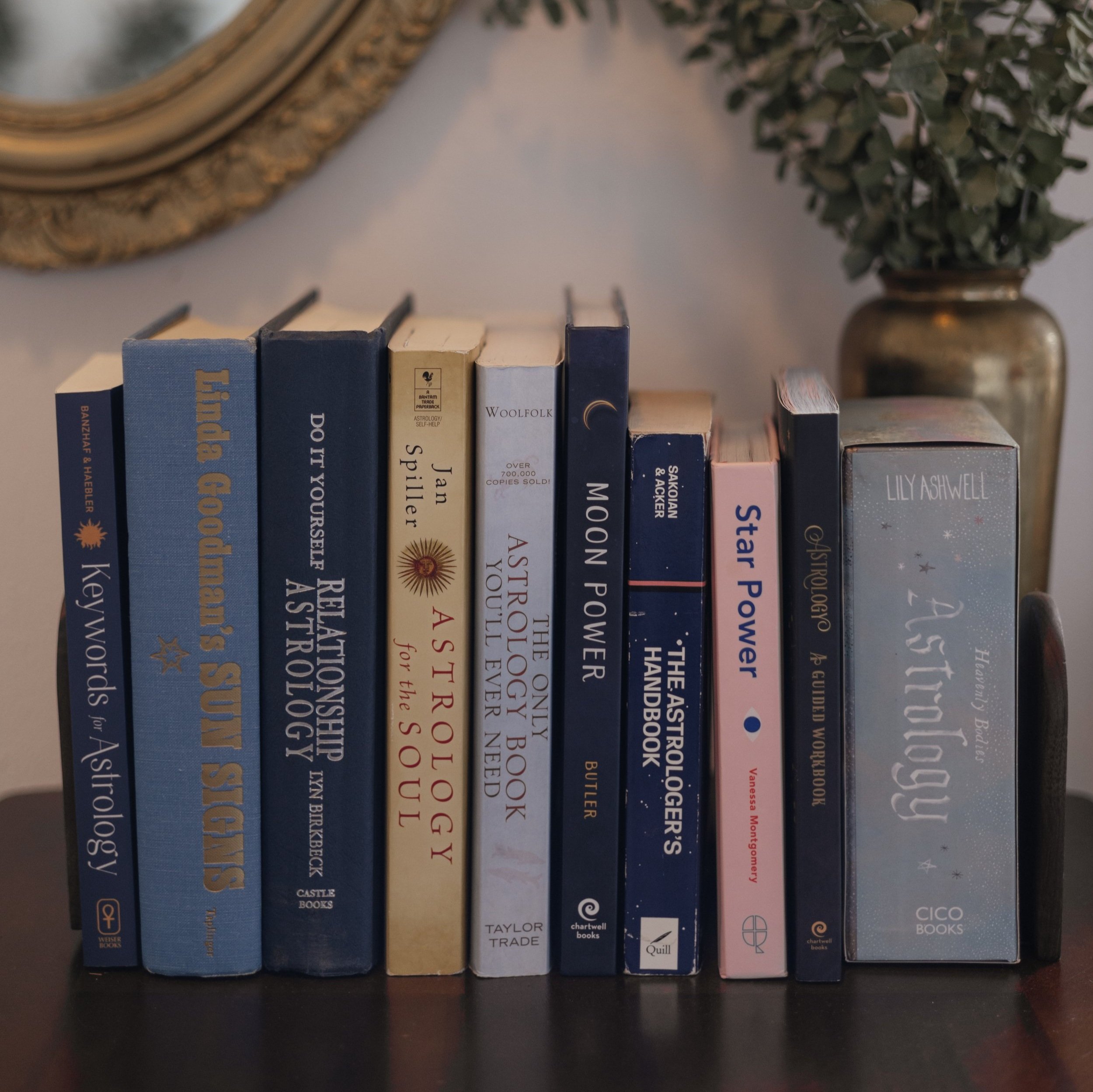 A collection of astrology books arranged vertically on a dark surface with a large mirror and a small plant in the background.