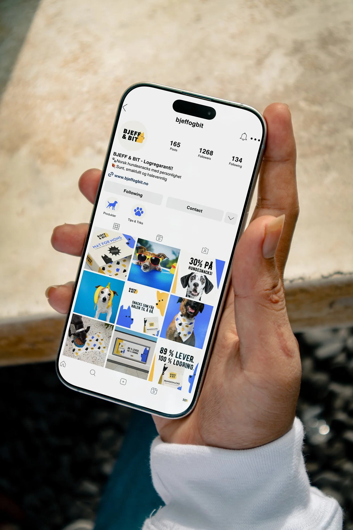 Iphone 16 Pro Max Mockup 3.jpg
