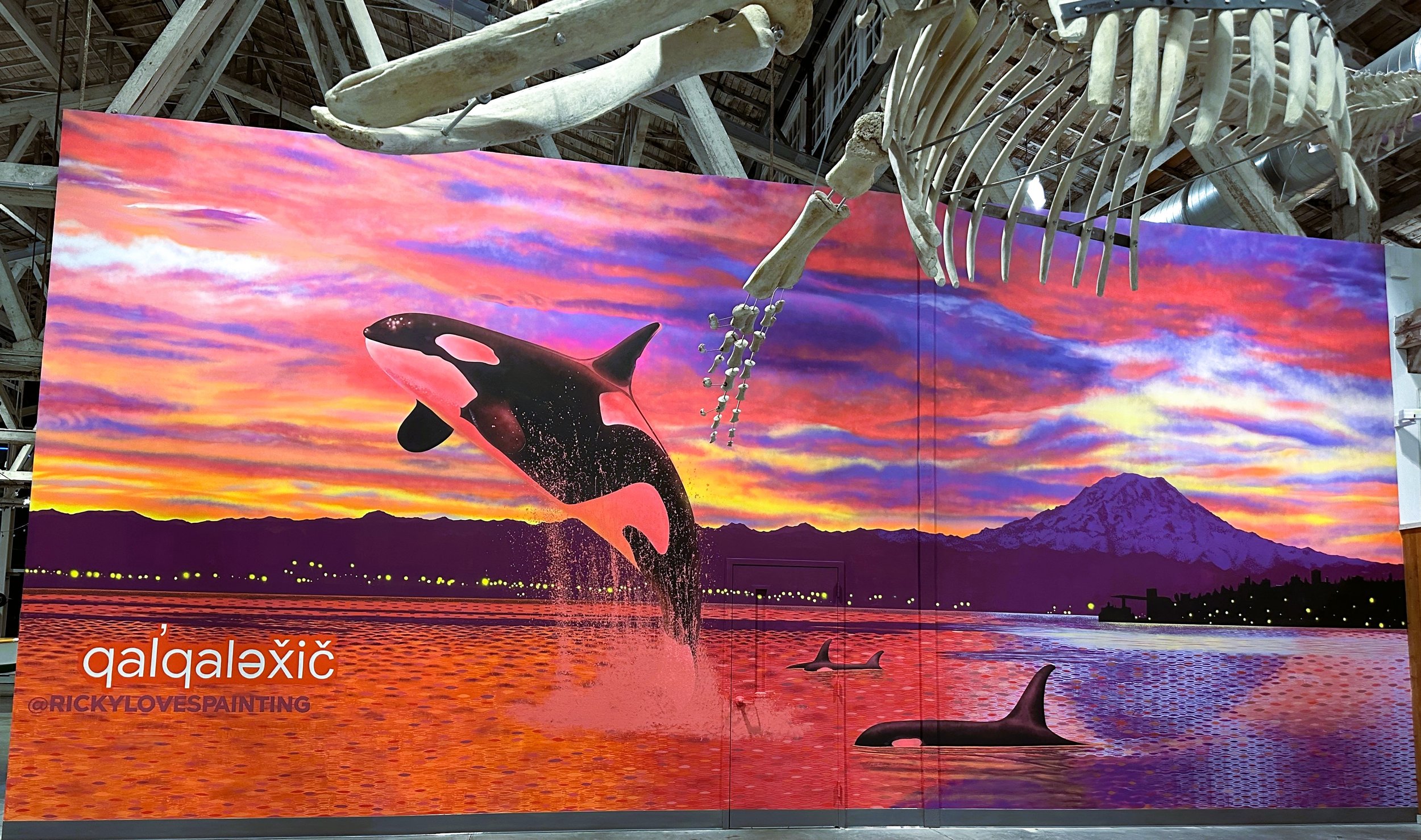orca drop photo 2.jpg