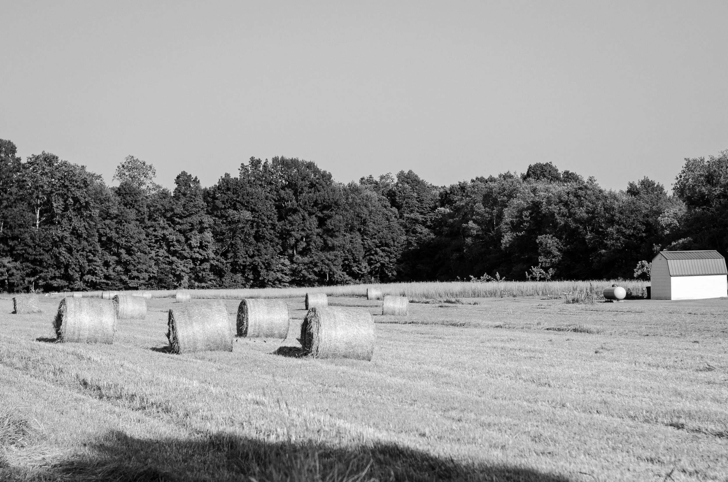 DSC_0552-2.jpg