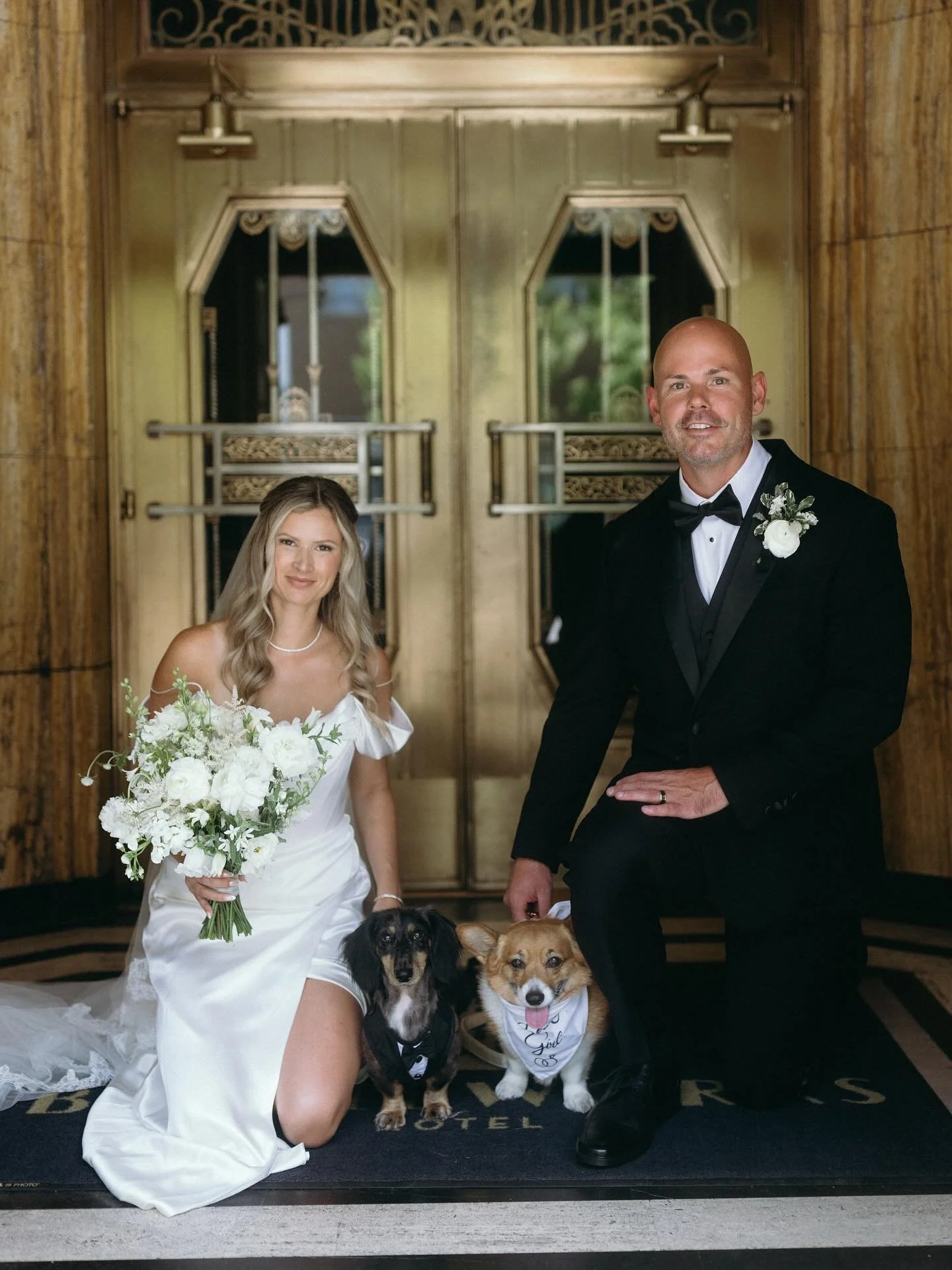 Incorporating your dogs into your wedding day is one of my all time favorite additions! These handsome pups just about stole the show!