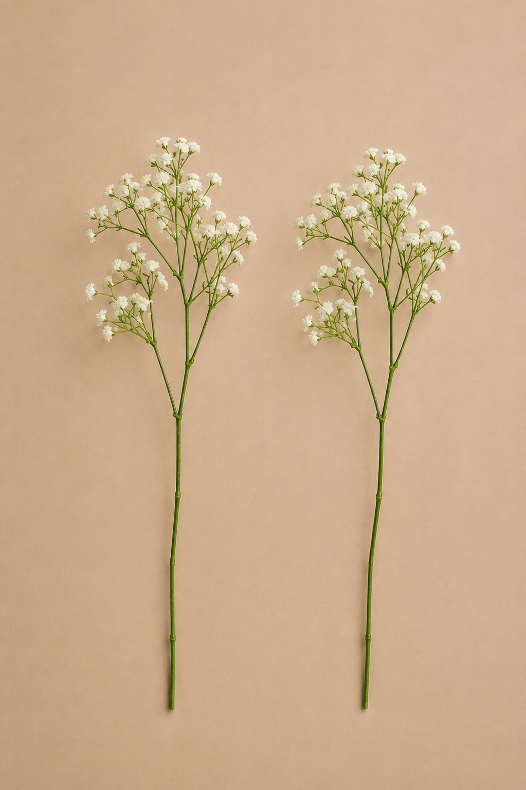Baby's Breath Stems | $0.50/ea | 65 available