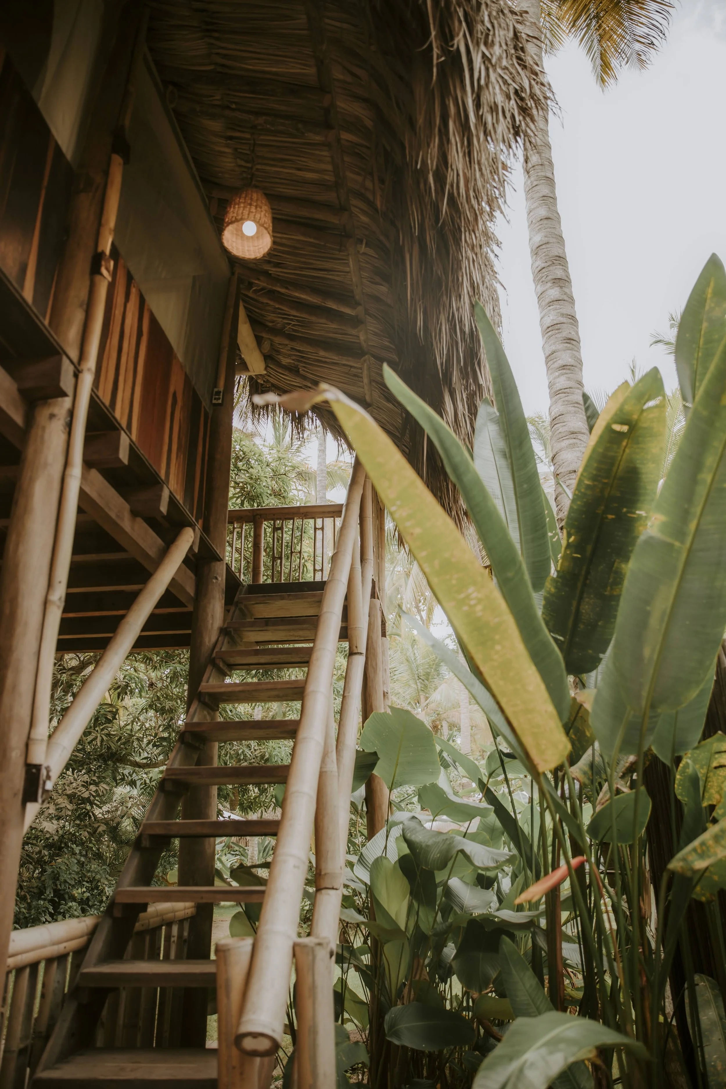 Bungalow Treehouse