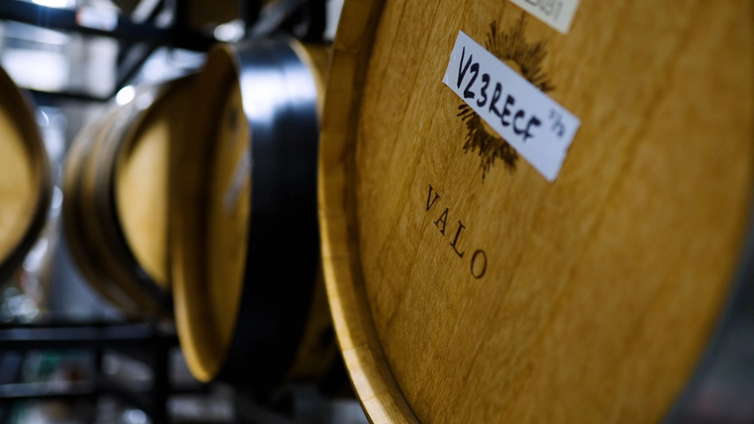 Valo cabernet franc barrel in cellar