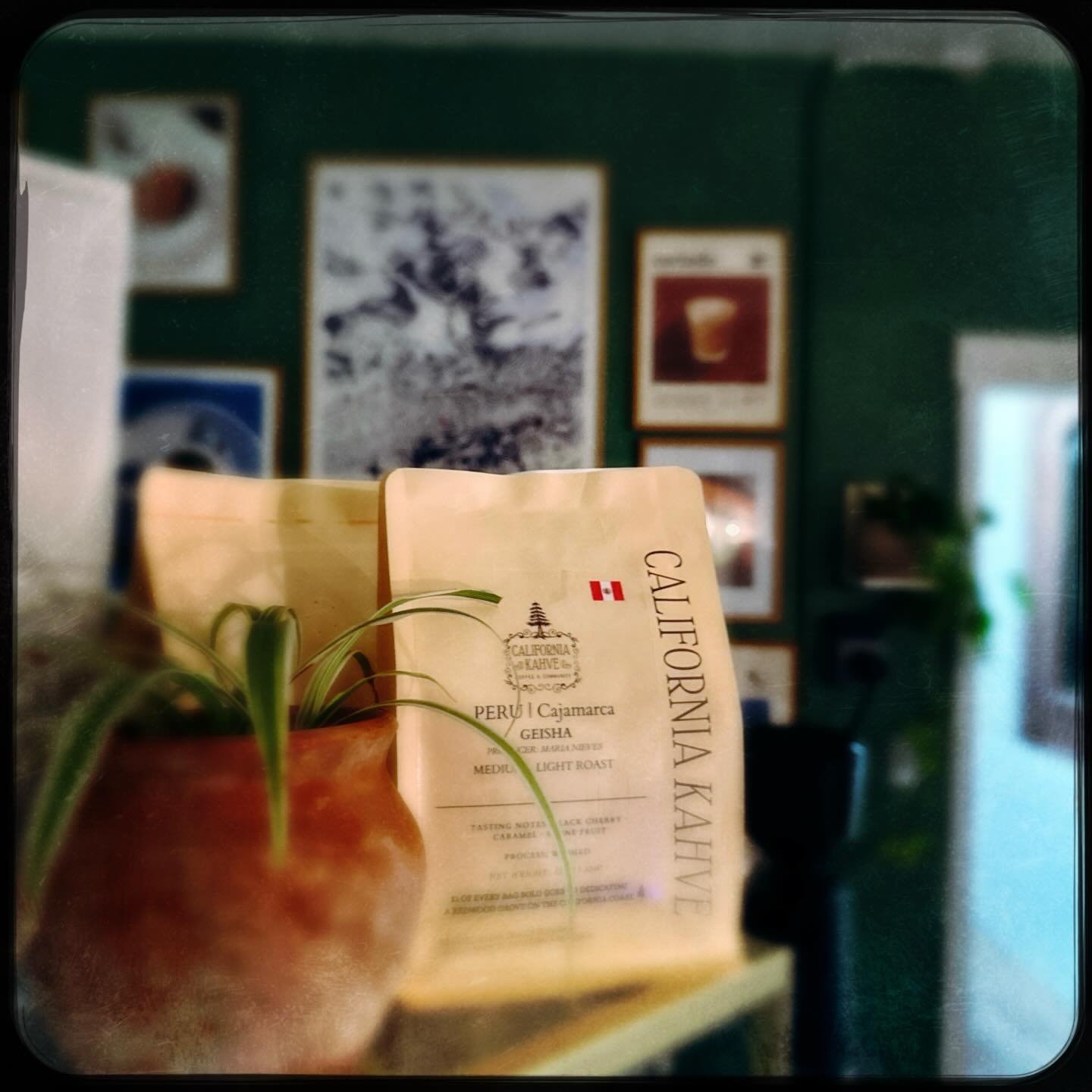 &ldquo;Hey just going to the Cafe to drop something off.&rdquo; &hellip; and daydream &amp;  take photos &amp; drink espresso too late &amp; roast Papua New Guinea &amp; think about how we could try and make the world a little bit better. For some re