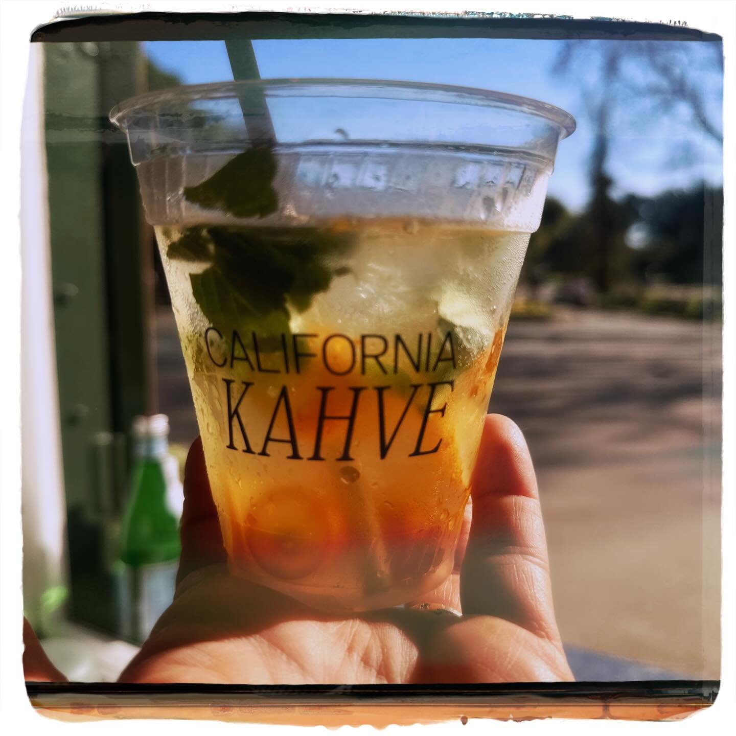 KUMQUAT spritzer. With fresh mint + sparkling water!🍊