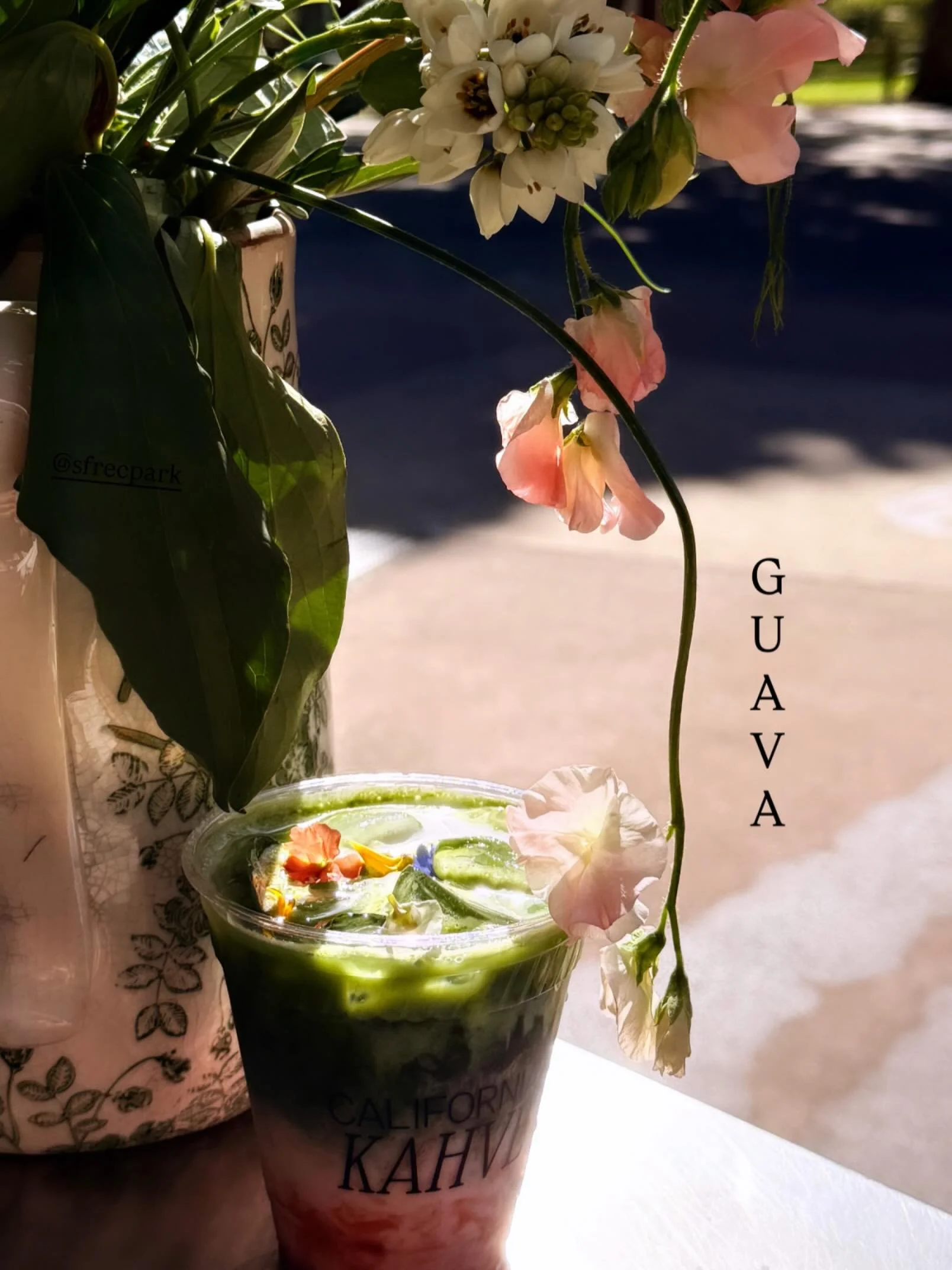 ~ g u a v a ~ the tropical fruit + sweet companion to our bright ceremonial matcha.