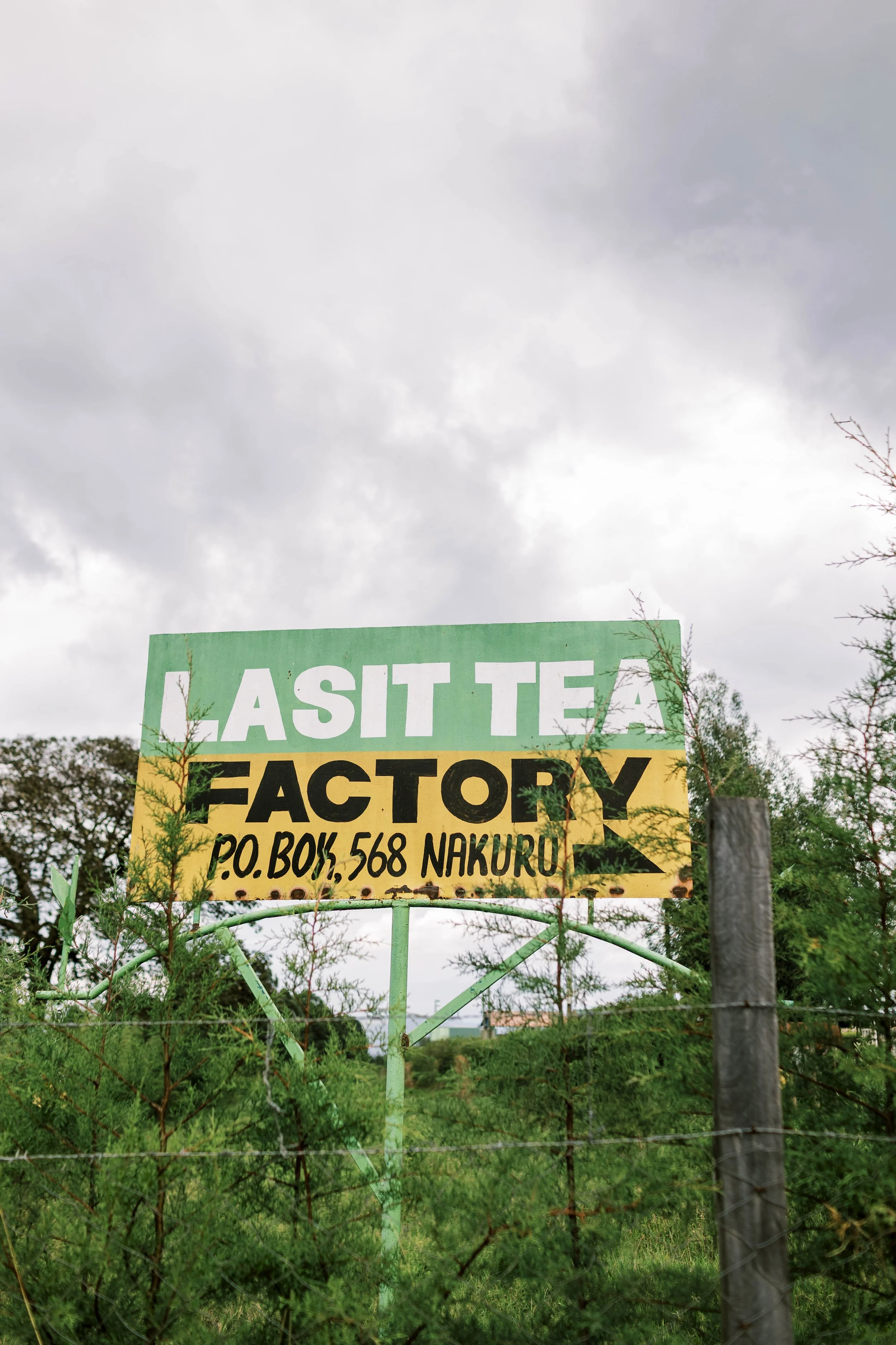GCK Lasit Tea Nakuru - April 2025.jpg