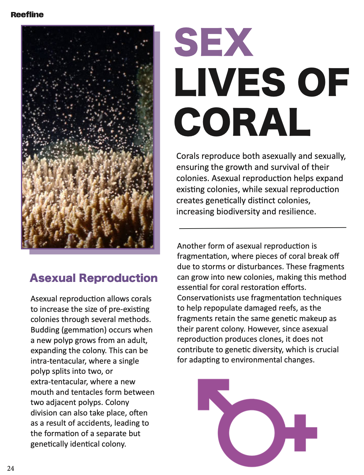 Screenshot 2026-02-07 at 8.11.45 PM.png