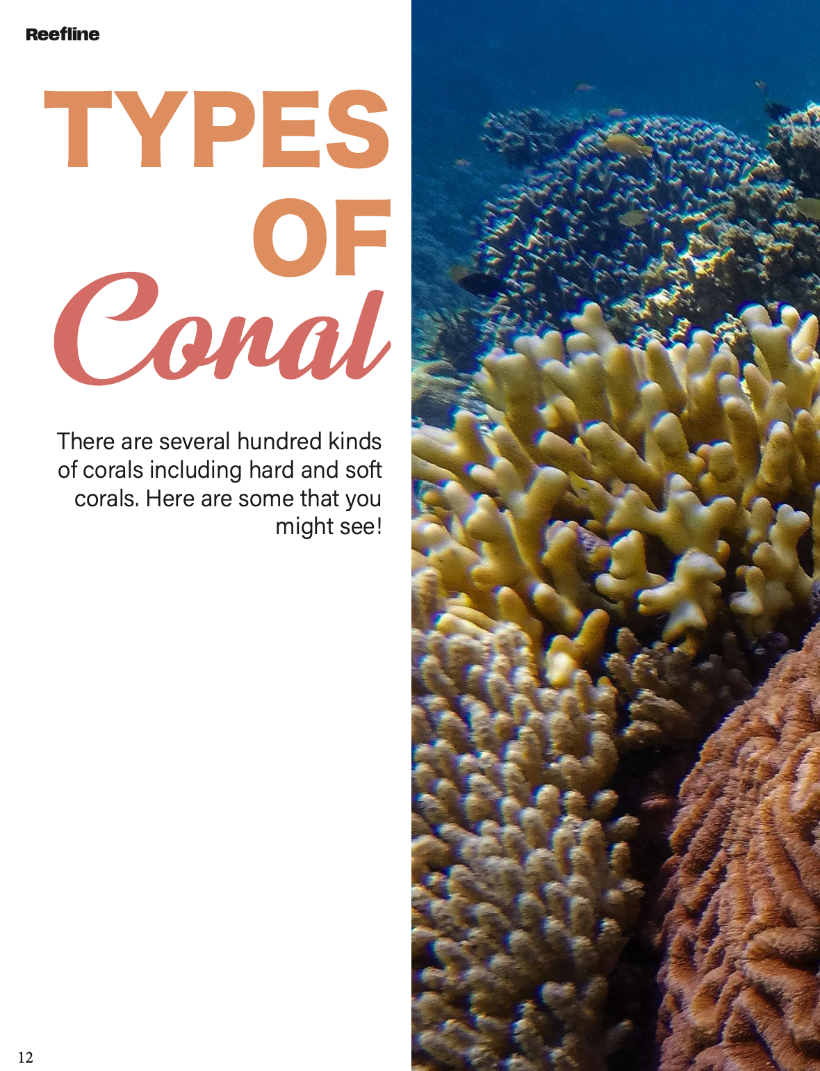 Screenshot 2026-02-07 at 8.09.57 PM.png