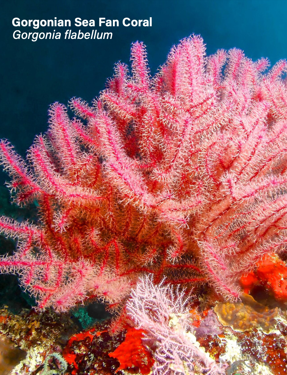 Screenshot 2026-02-07 at 8.11.01 PM.png