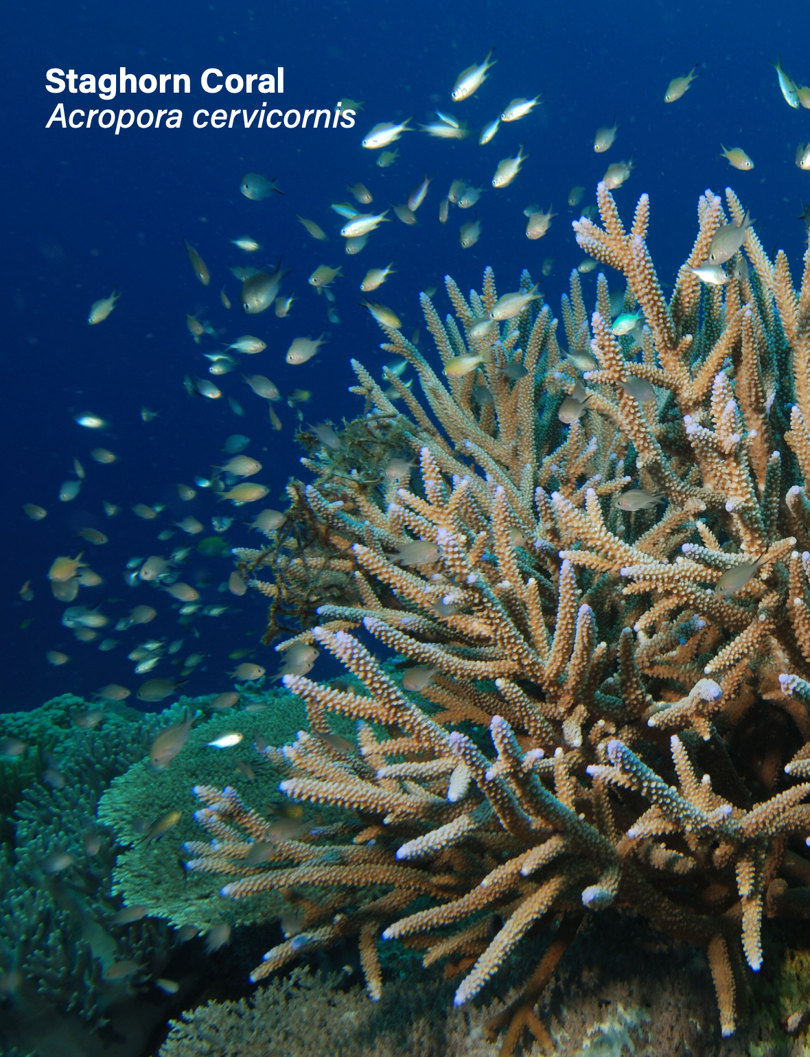 Screenshot 2026-02-07 at 8.10.12 PM.png