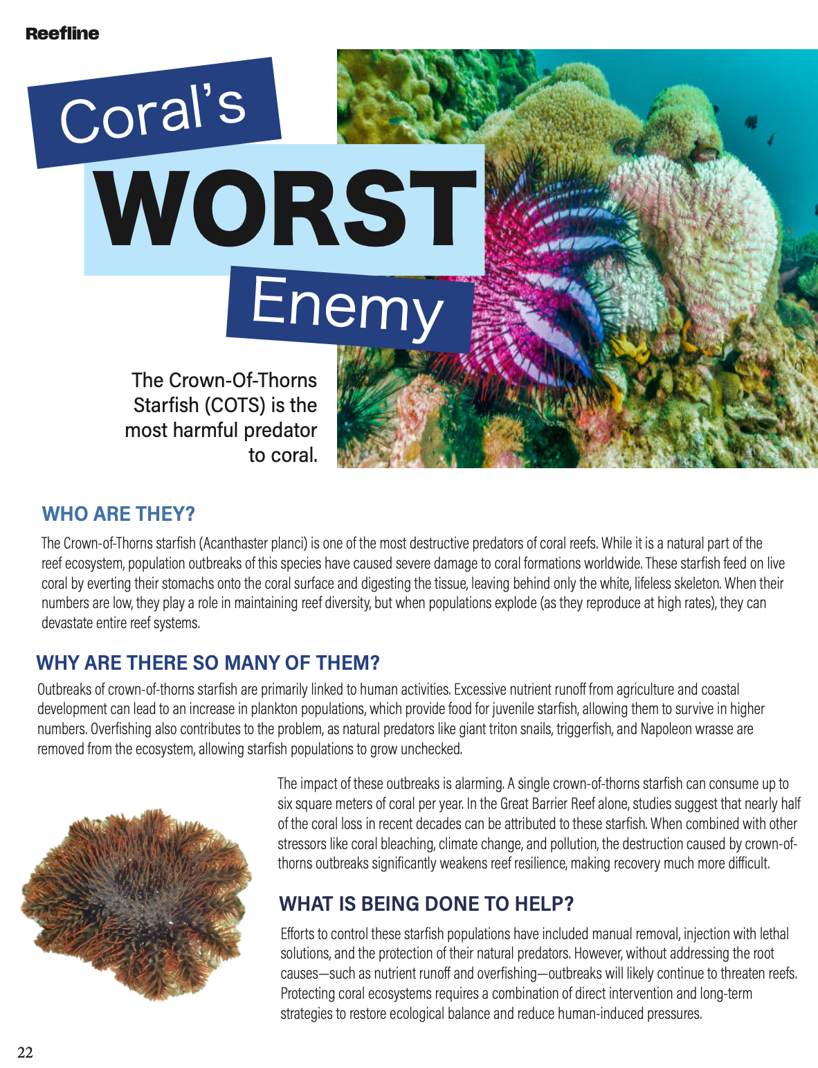 Screenshot 2026-02-07 at 8.11.25 PM.png