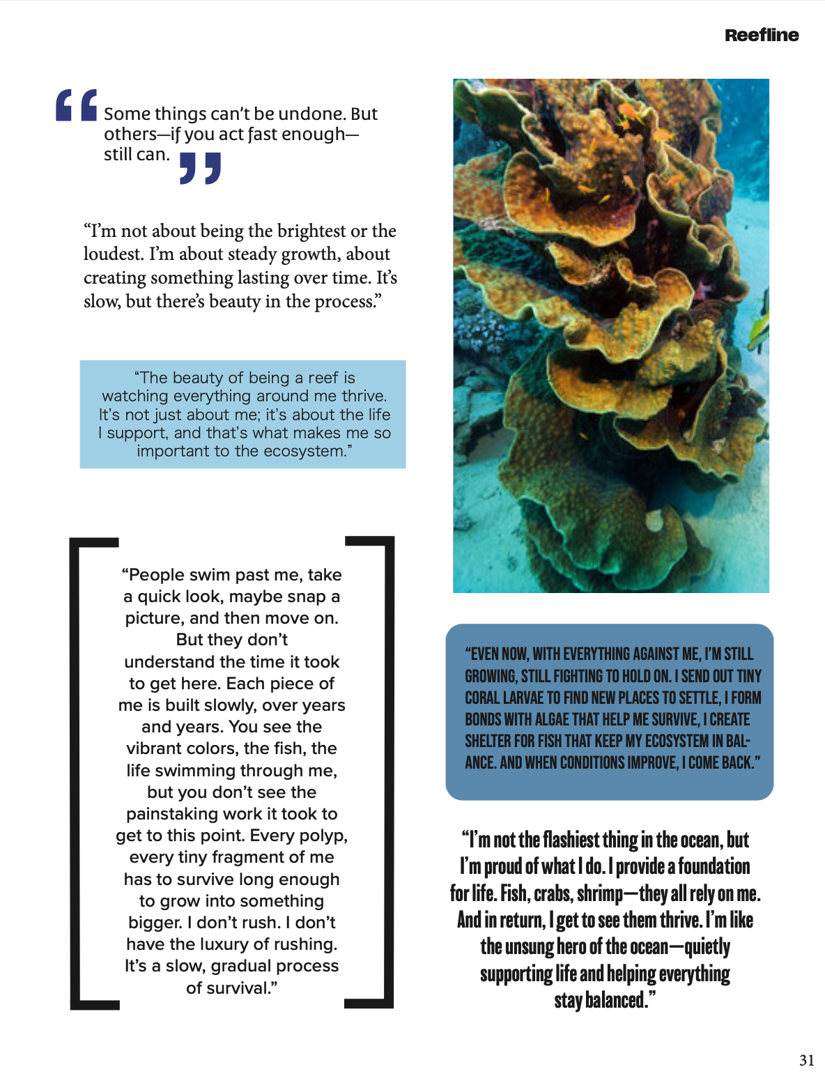 Screenshot 2026-02-07 at 8.12.37 PM.png