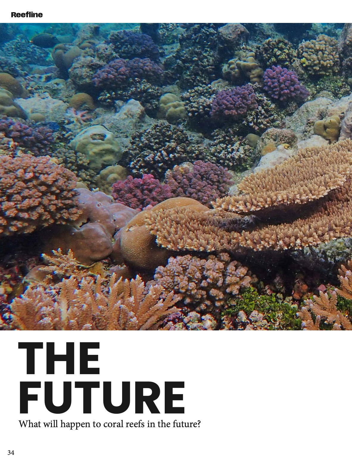 Screenshot 2026-02-07 at 8.13.07 PM.png