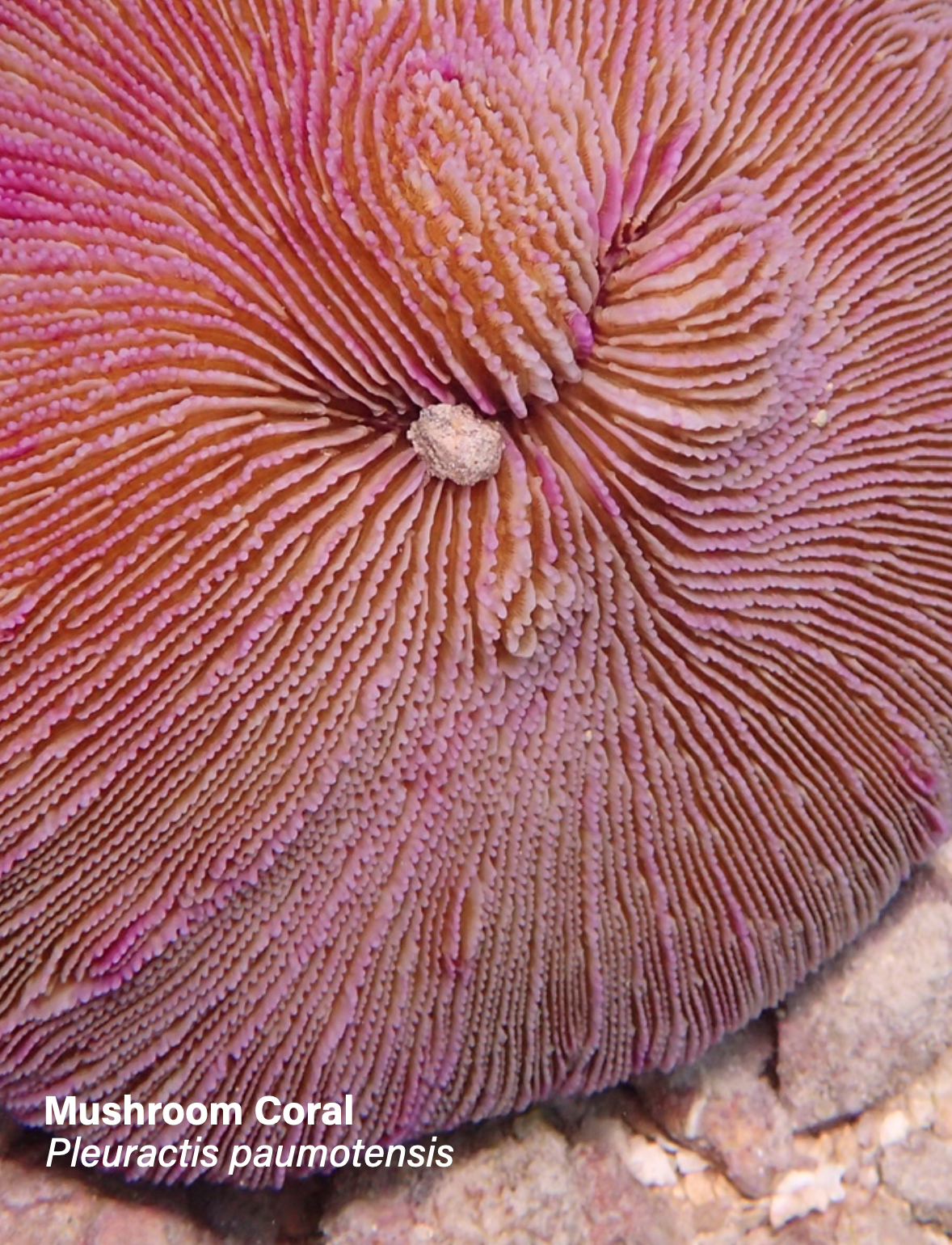 Screenshot 2026-02-07 at 8.10.53 PM.png