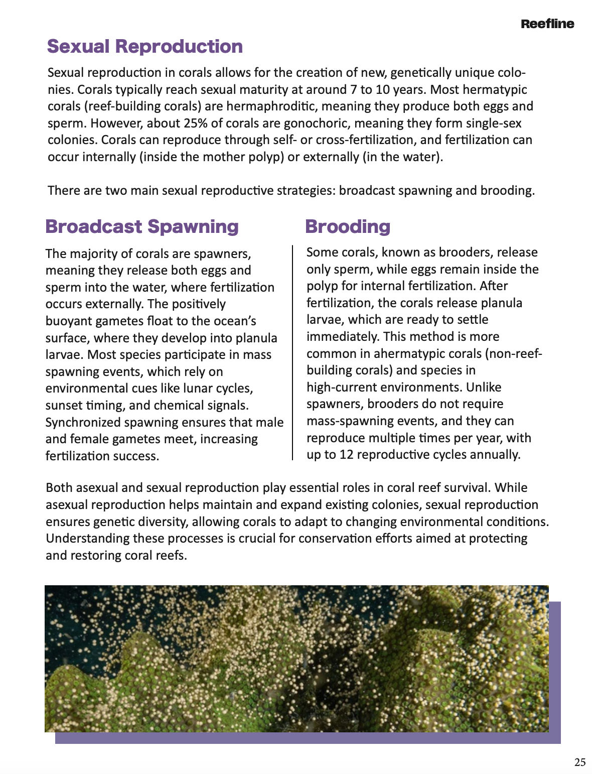 Screenshot 2026-02-07 at 8.11.55 PM.png