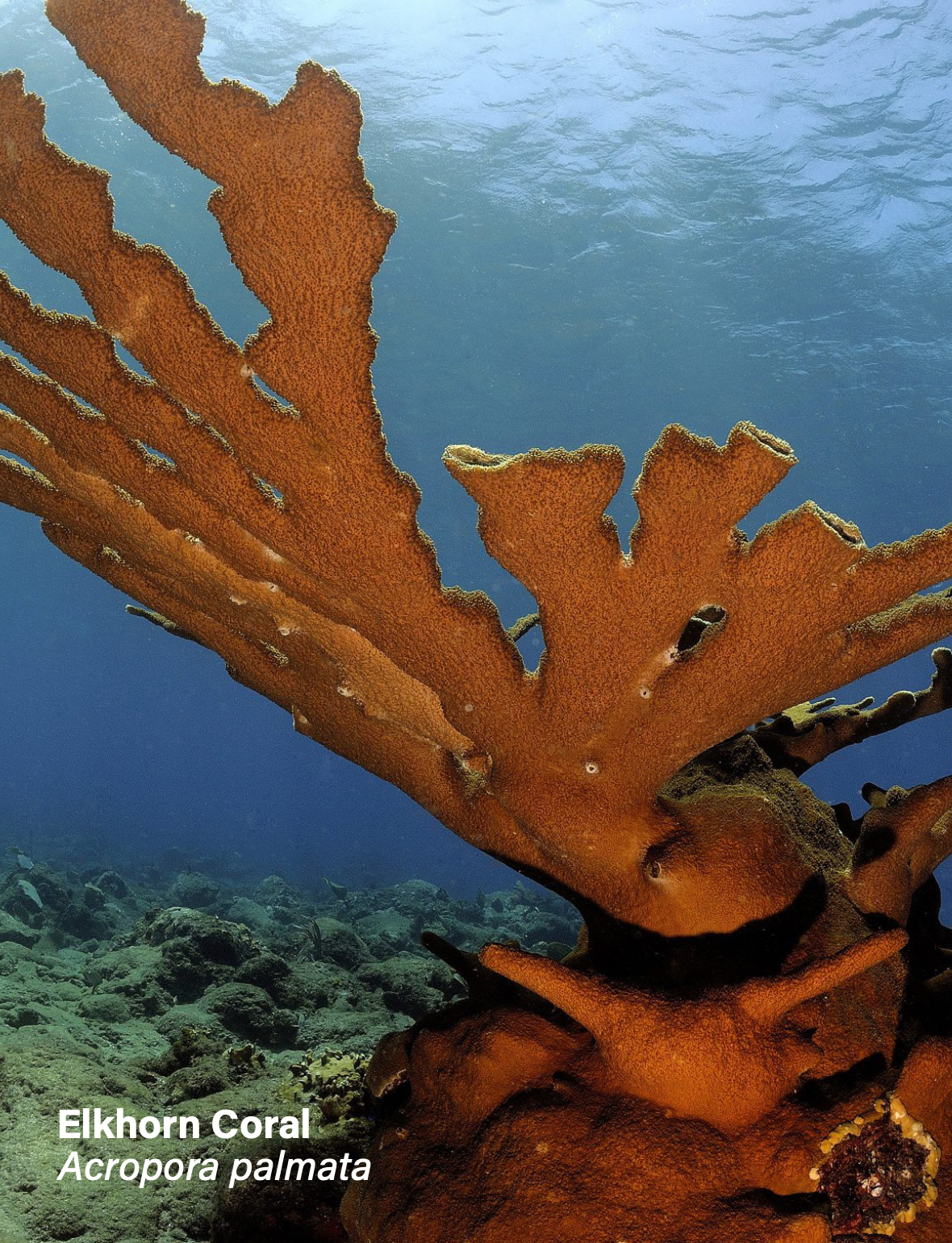 Screenshot 2026-02-07 at 8.10.36 PM.png