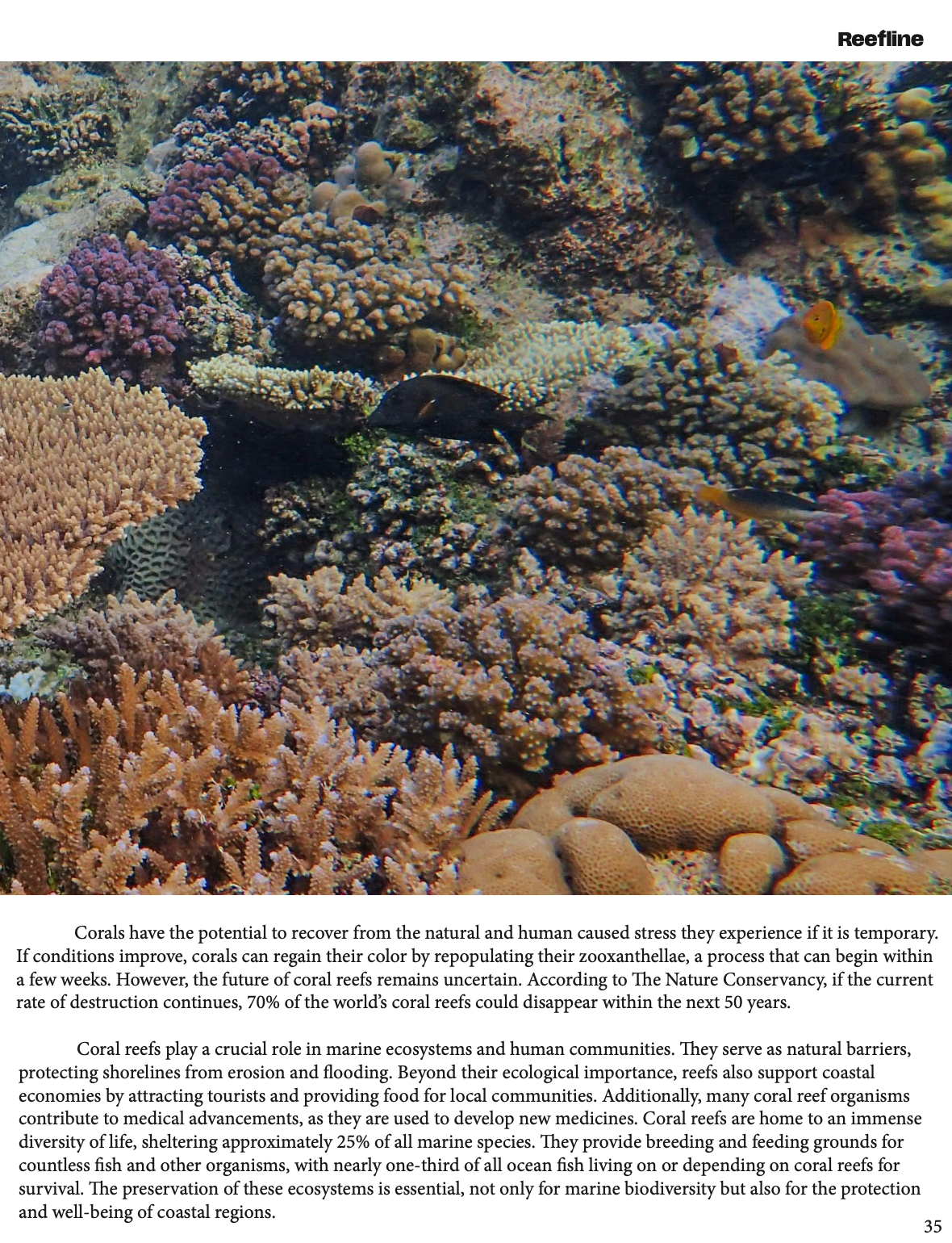 Screenshot 2026-02-07 at 8.13.18 PM.png