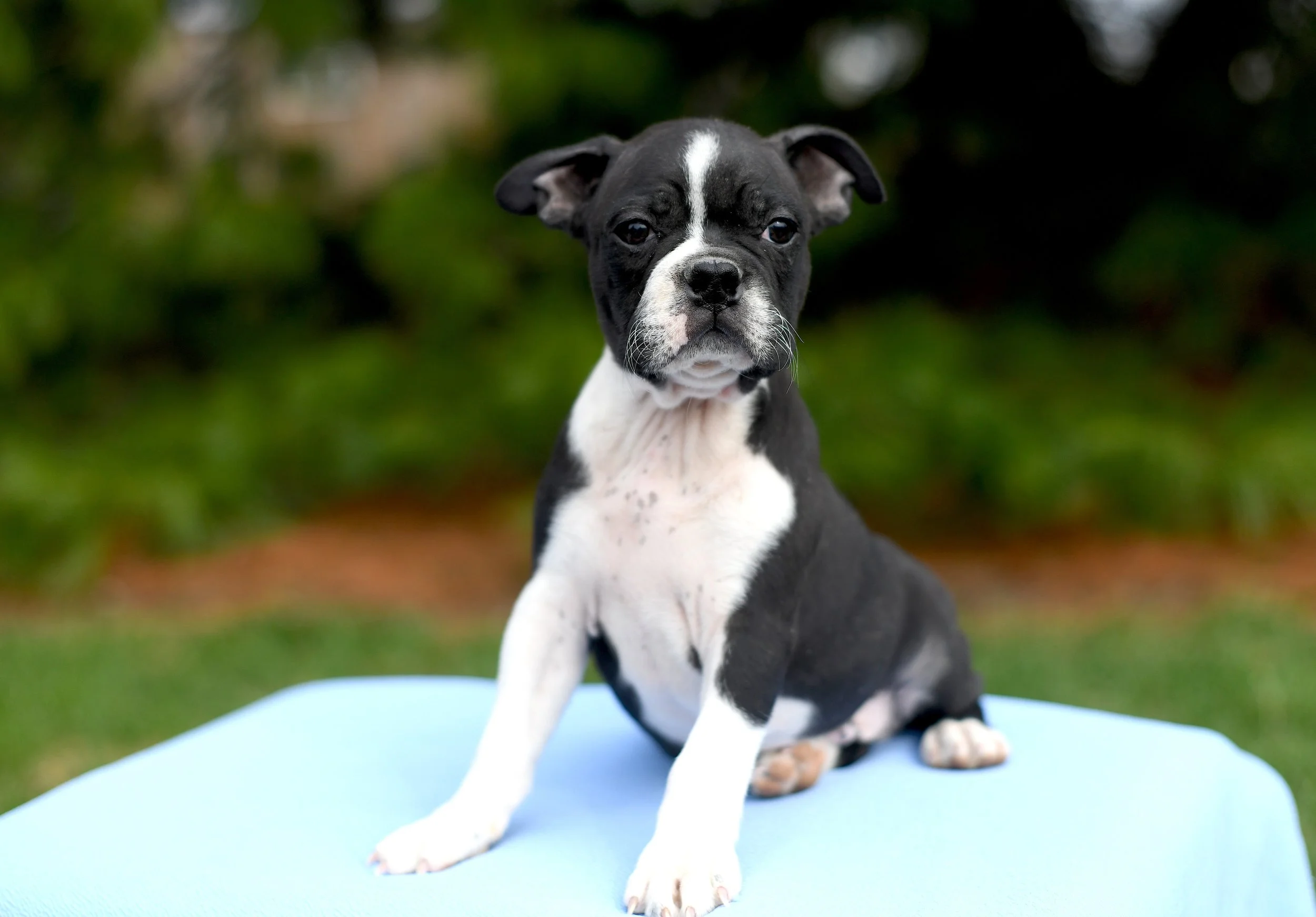 Roland going home.JPG