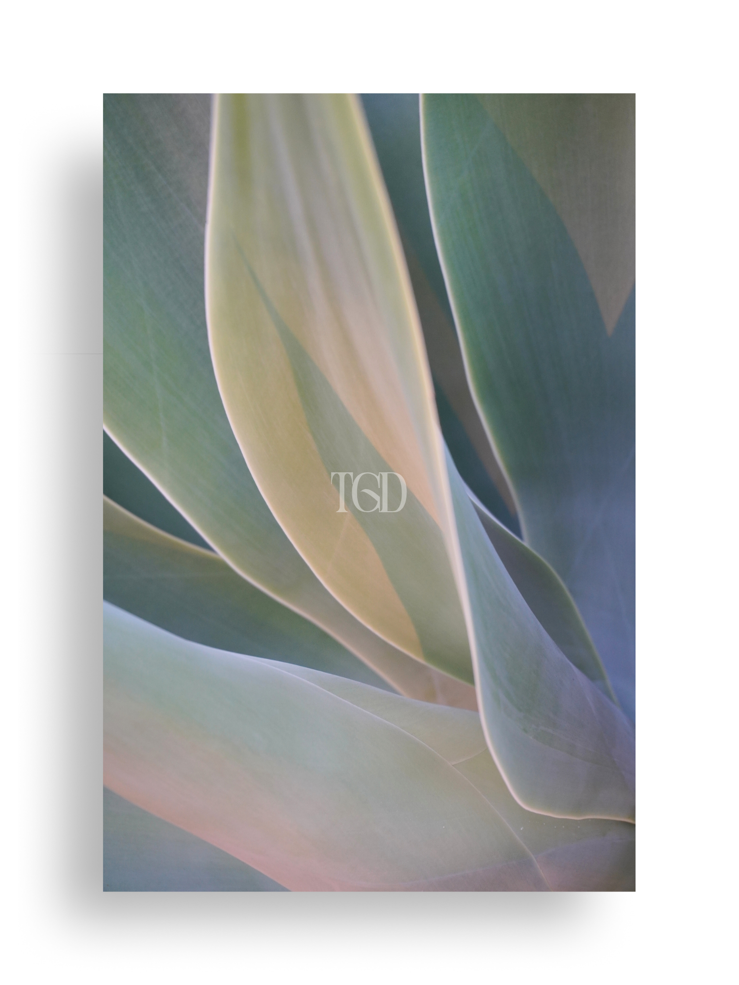 Botanic Silk No.2