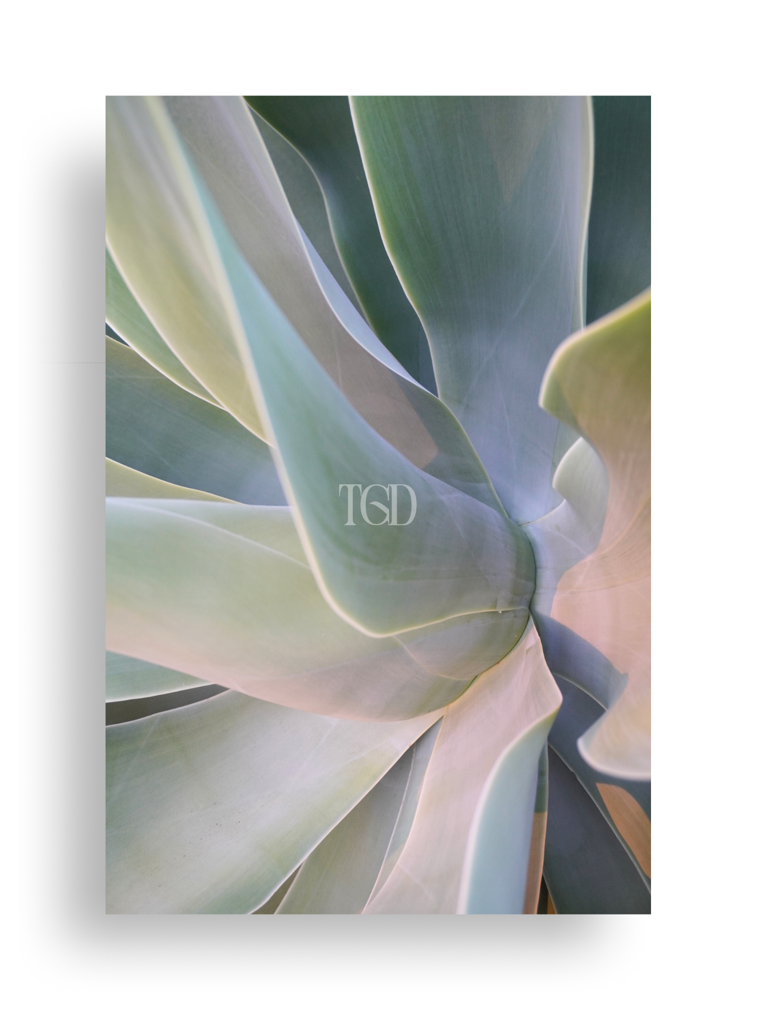 Botanic Silk No.3
