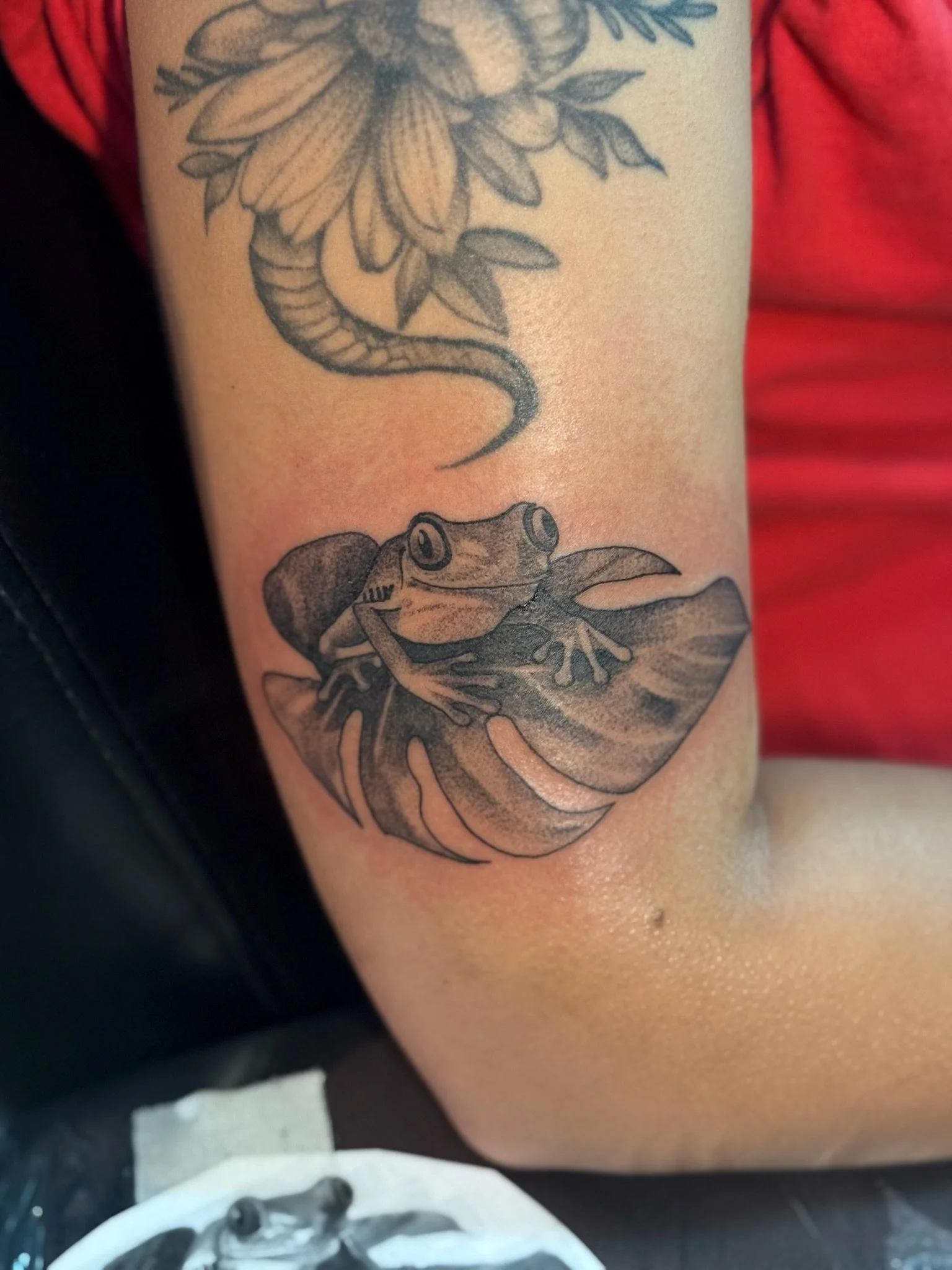 What Actually Happens Under Your Skin When You Get a Tattoo? The Science Explained