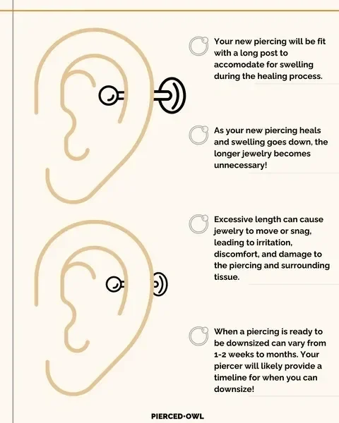 Diagram of ear piercing process with illustrated ears and piercing jewelry, accompanied by text explaining piercing fit, healing, jewelry length, and downsizing timeline.