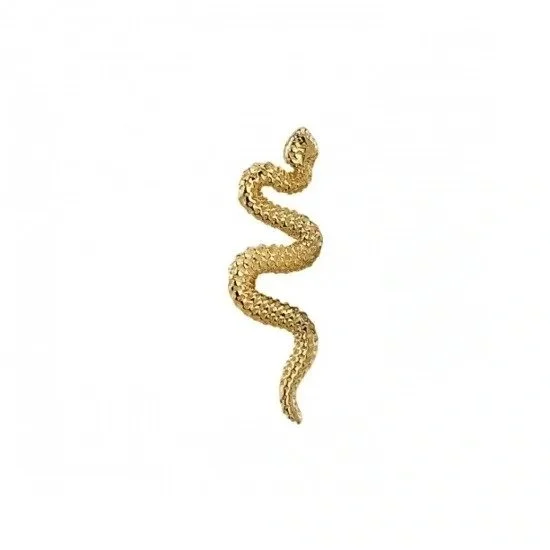 Delicate Snake.jpg