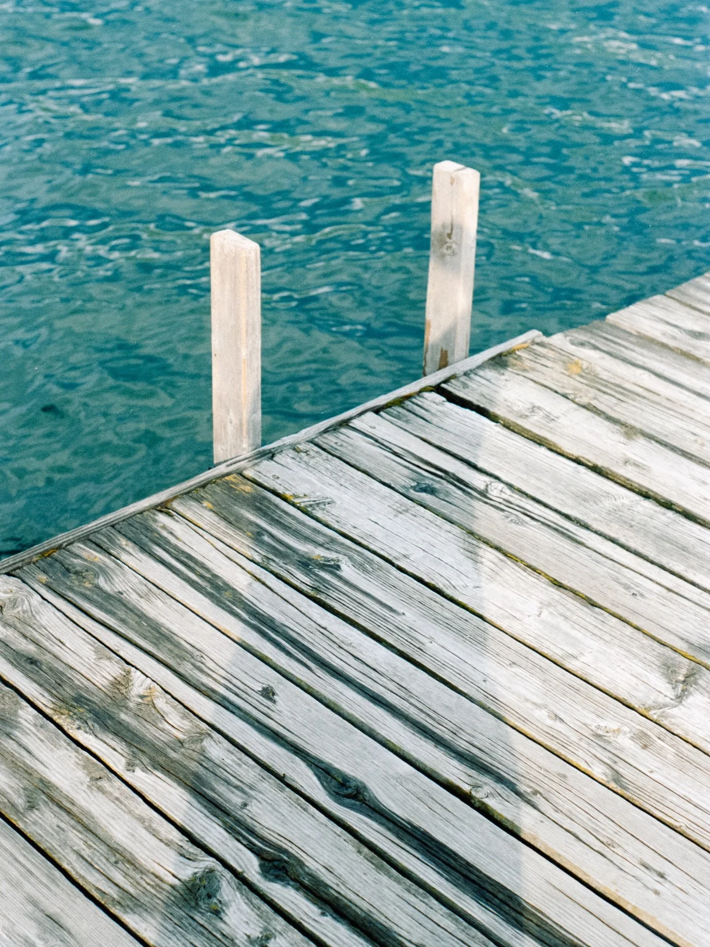 Taking a dip

Processed in-house!🧪
📸 Andrew Boharski
🎞️ Ultramax 400

#filmlab #filmprocessing #filmdeveloping #shootfilm #35mmfilmkodak