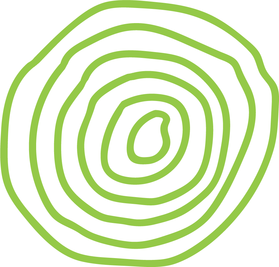 Green contour lines forming a concentric circle pattern