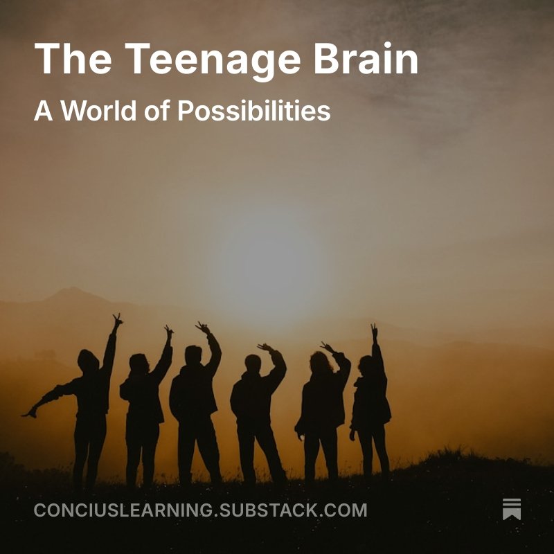 The Teenage Brain