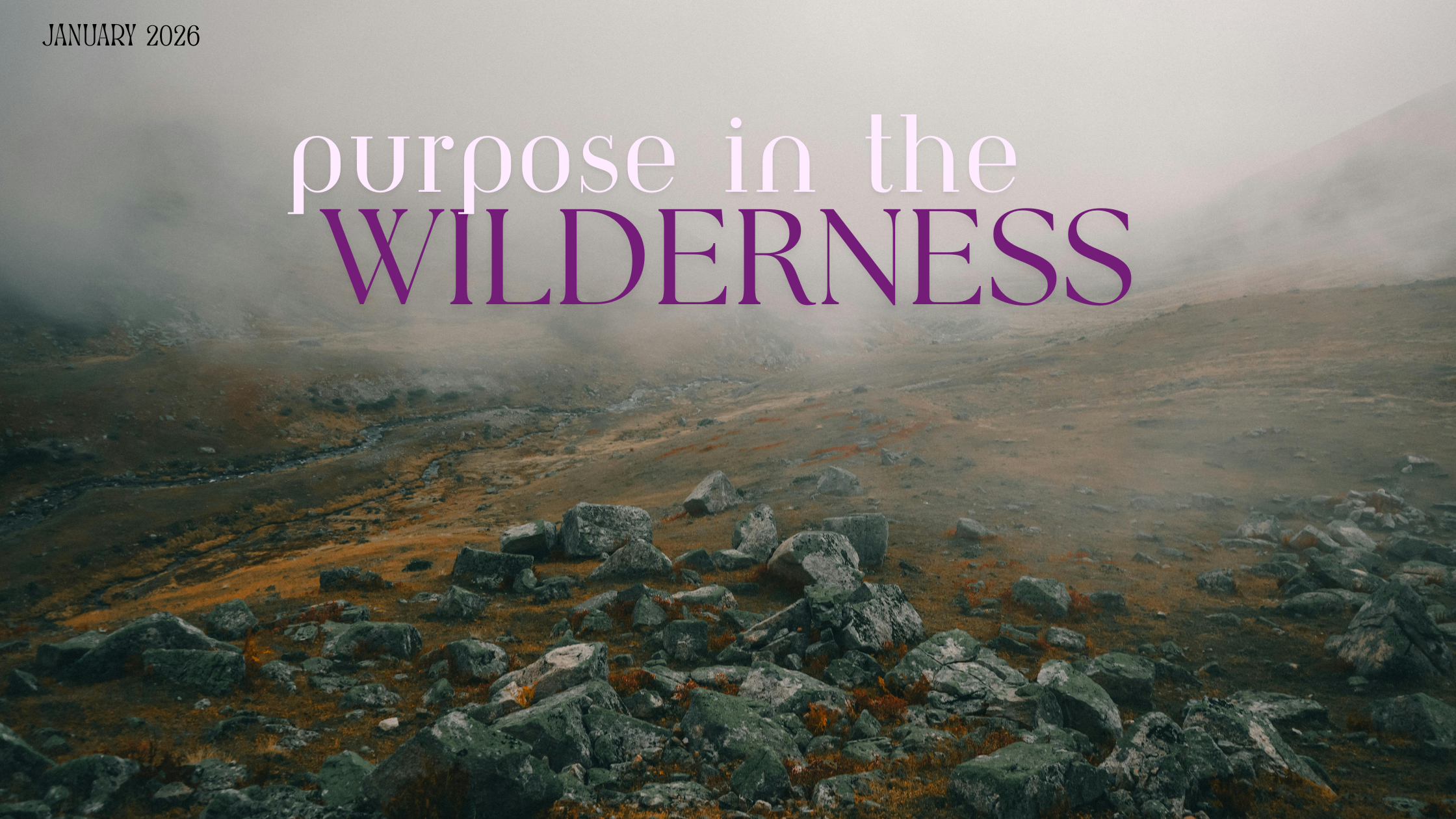 January: Purpose in the Wilderness