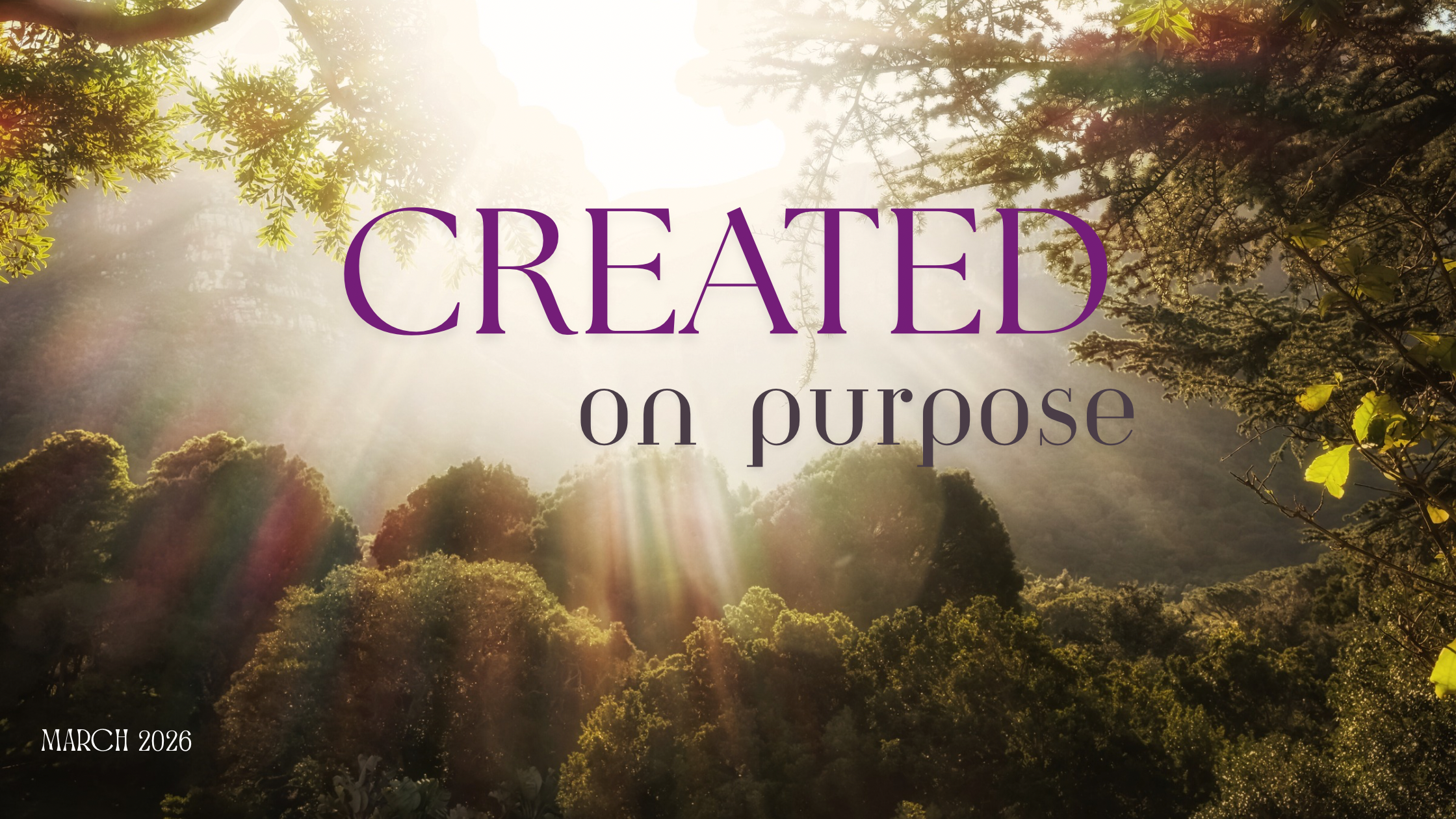 March: Created on Purpose